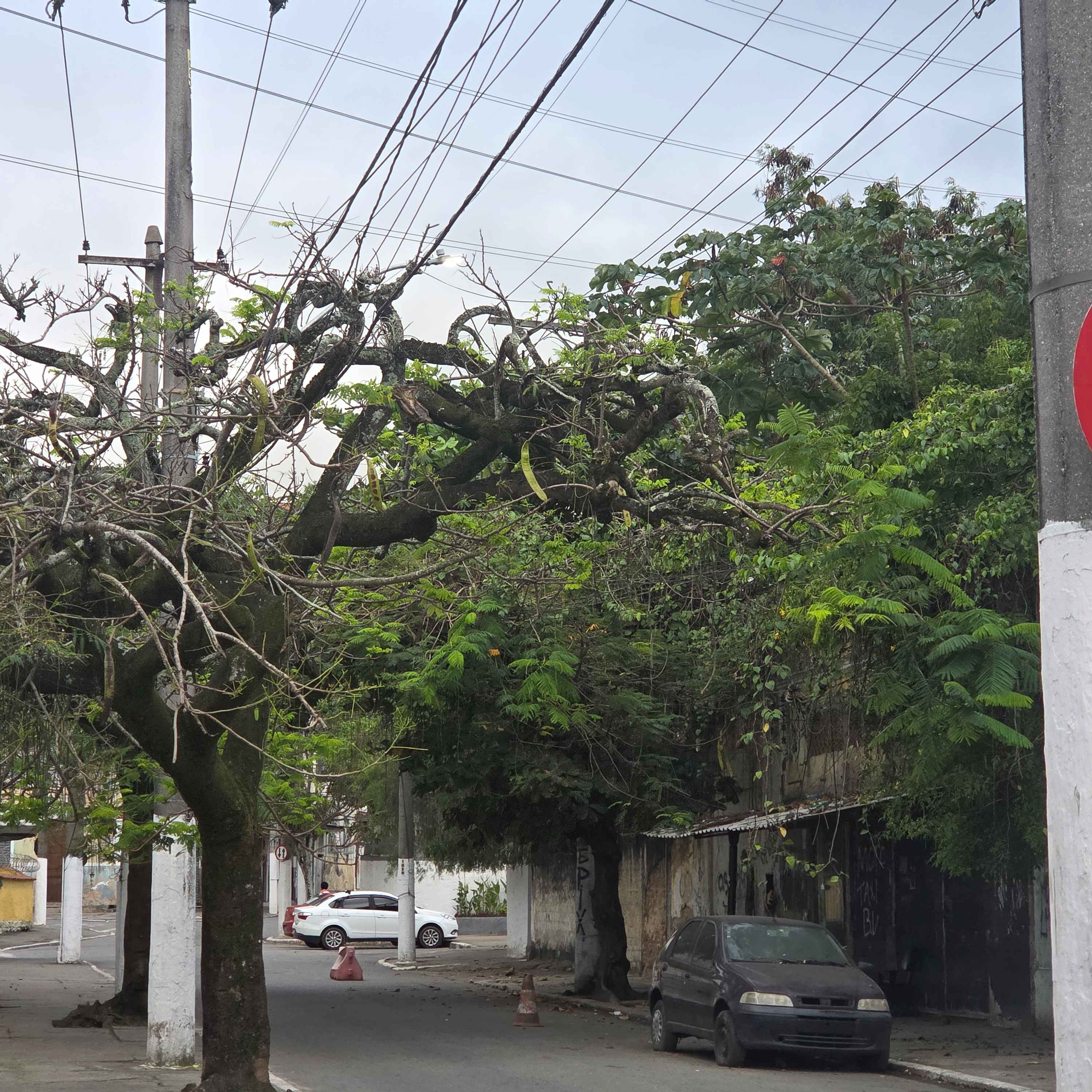 Imagem da publicação