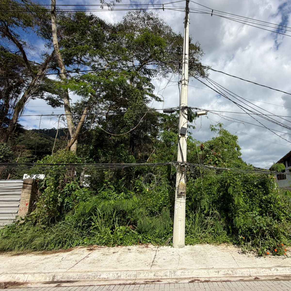 Imagem da publicação