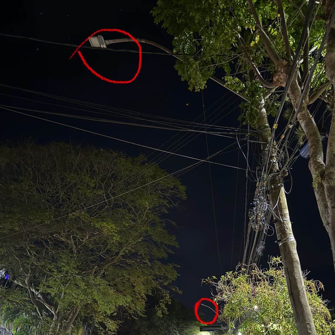 Imagem da publicação