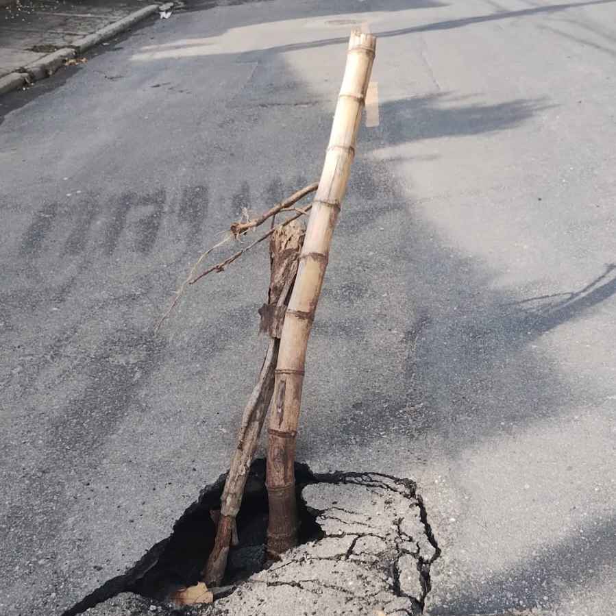 Imagem da publicação
