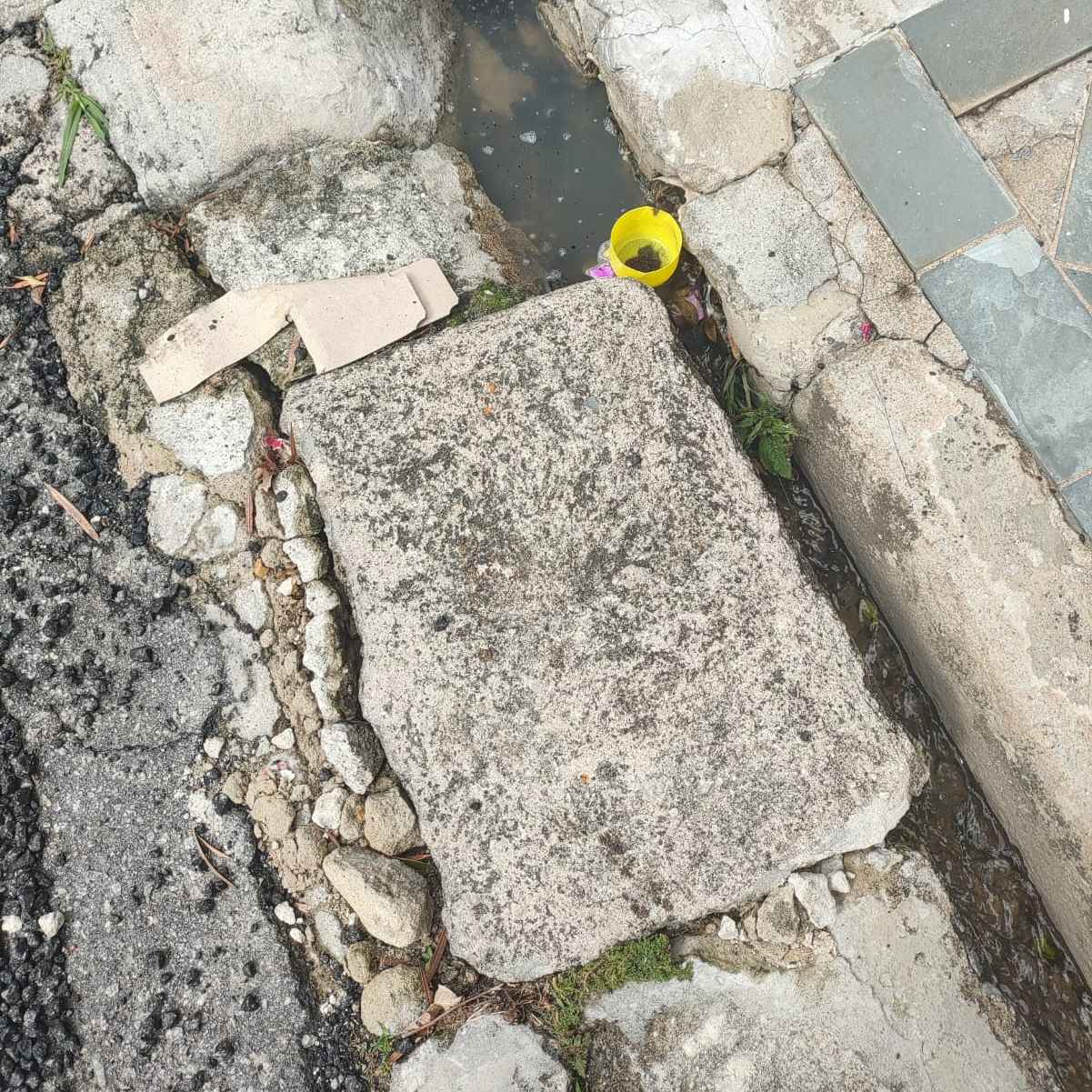 Imagem da publicação