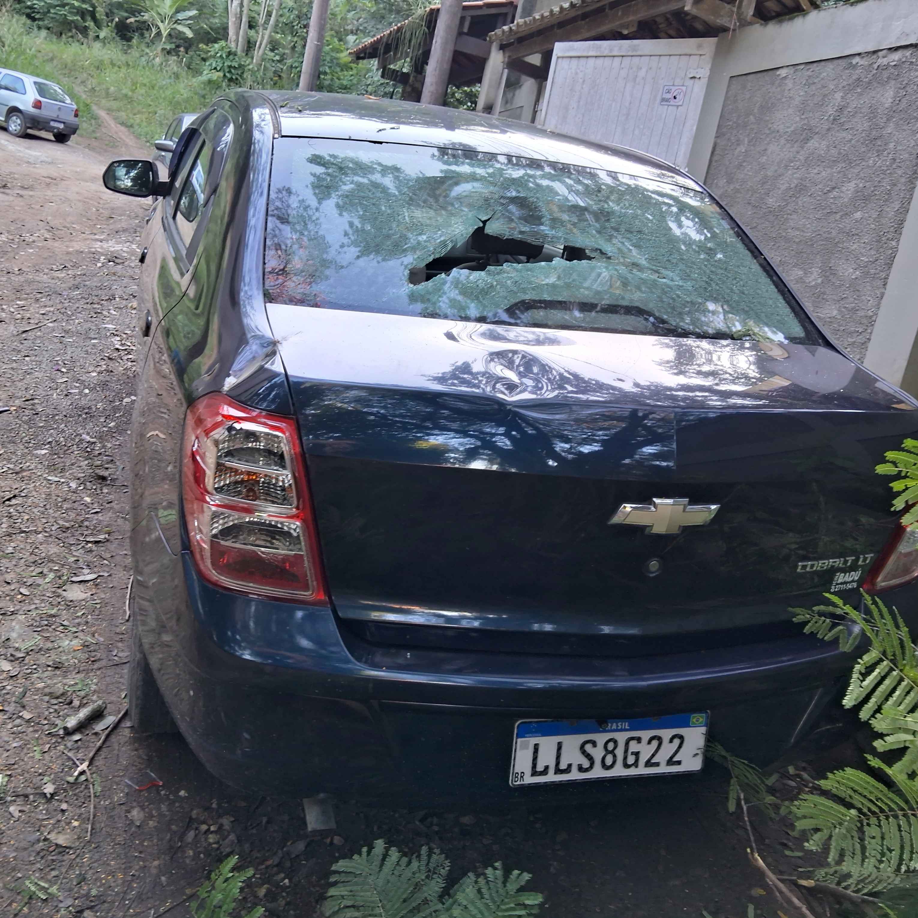 Imagem da publicação