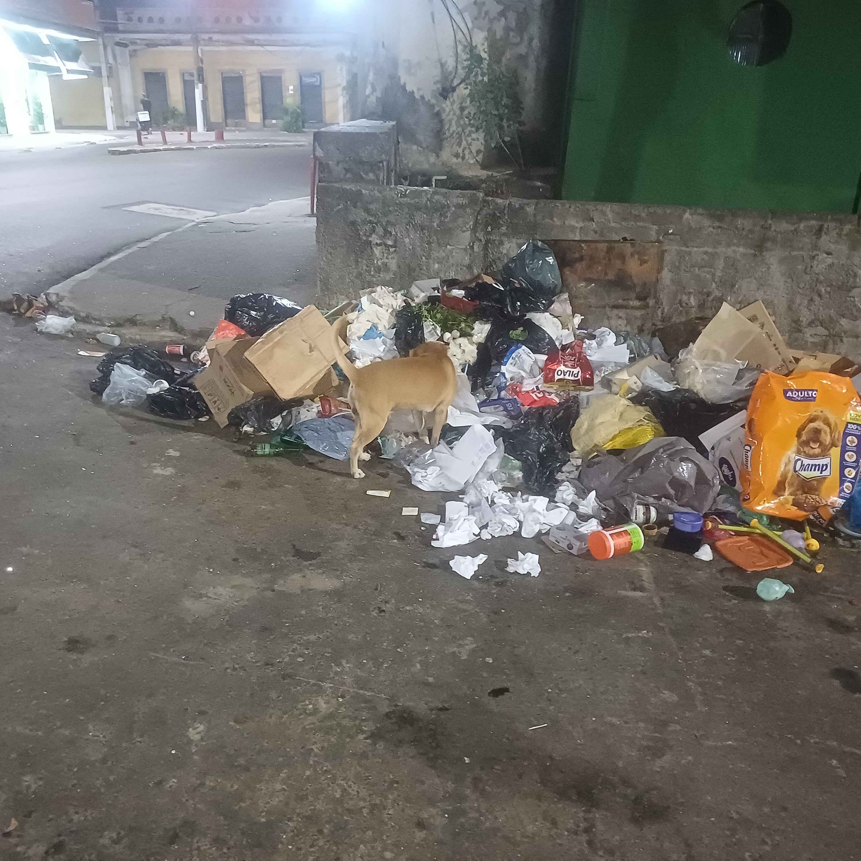 Imagem da publicação
