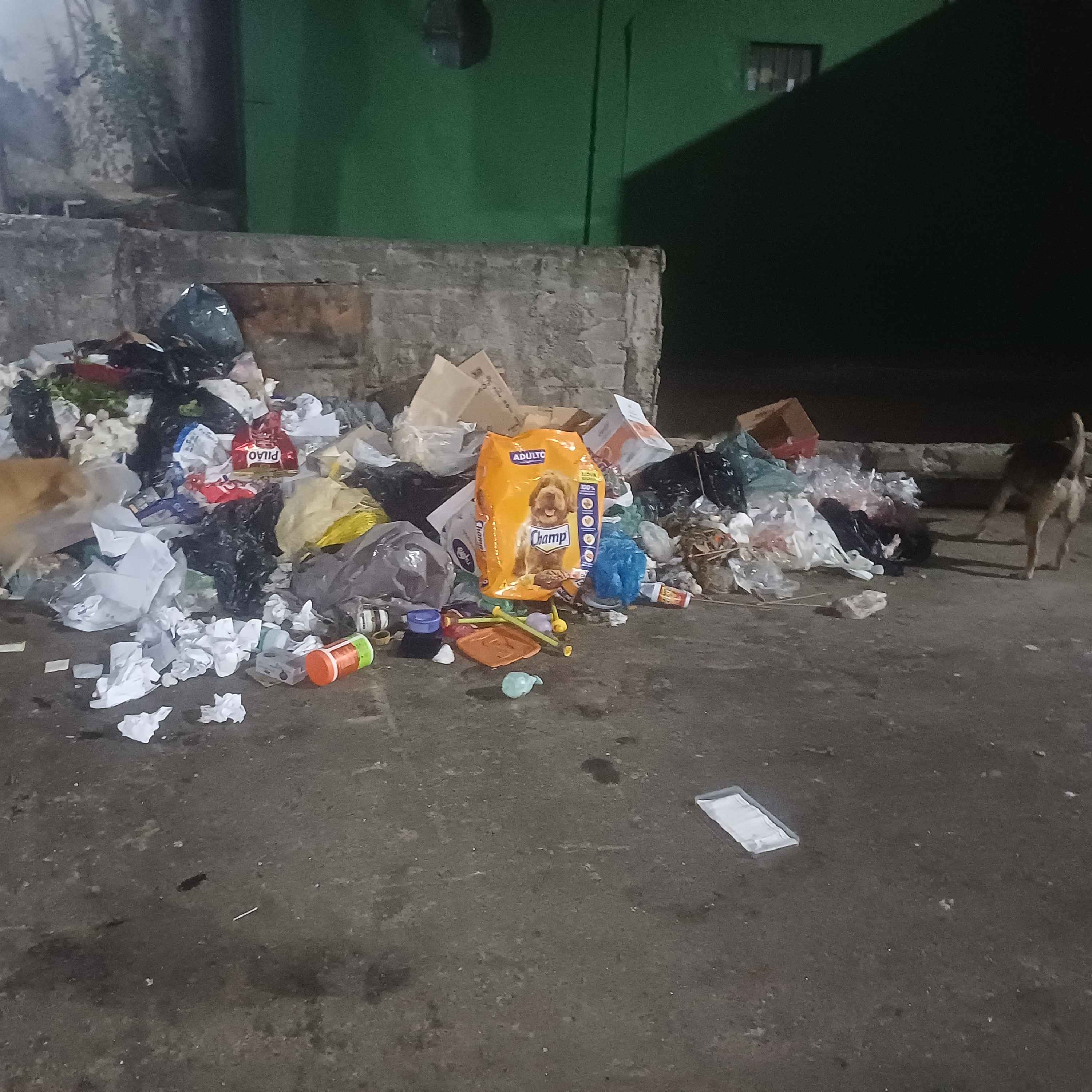 Imagem da publicação