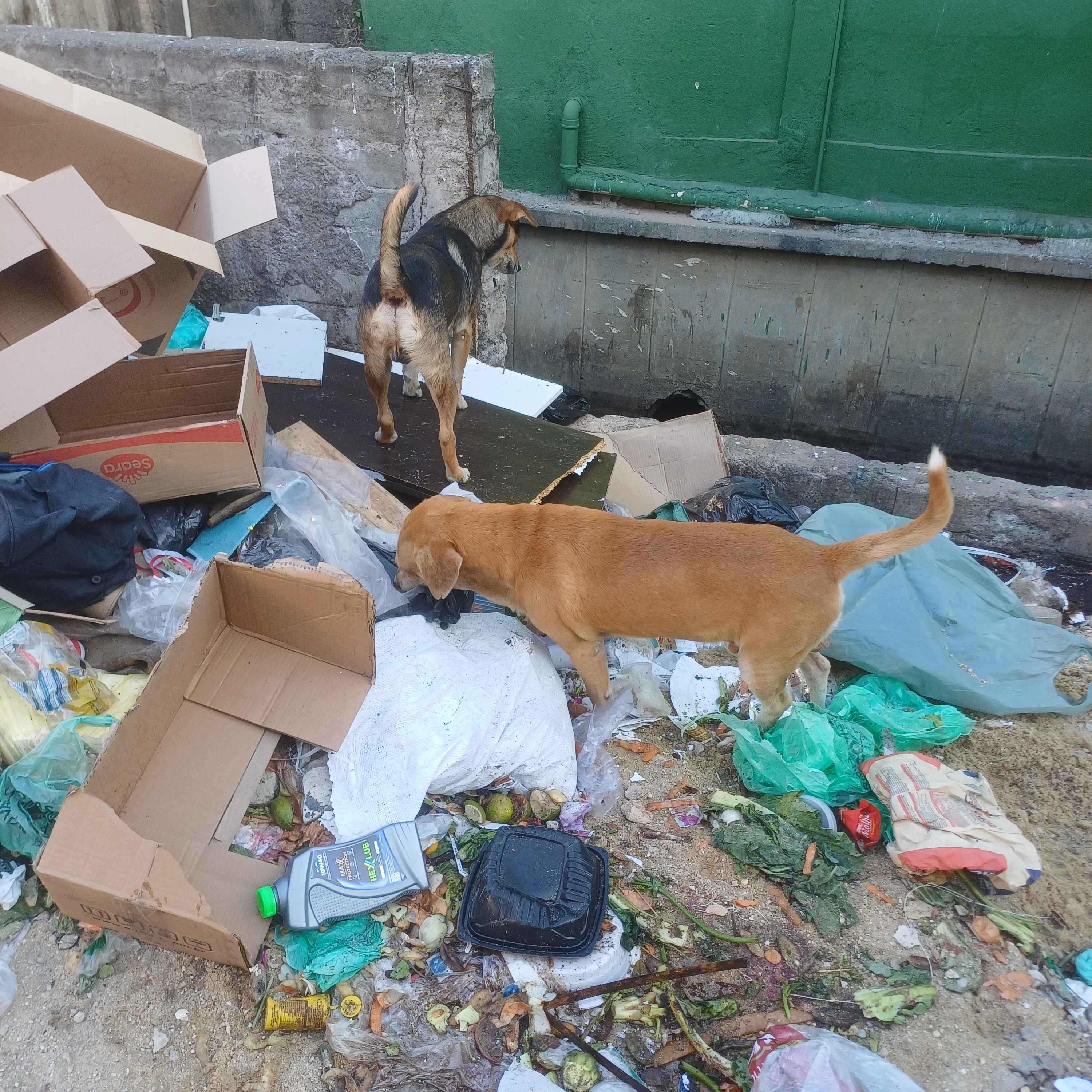 Imagem da publicação
