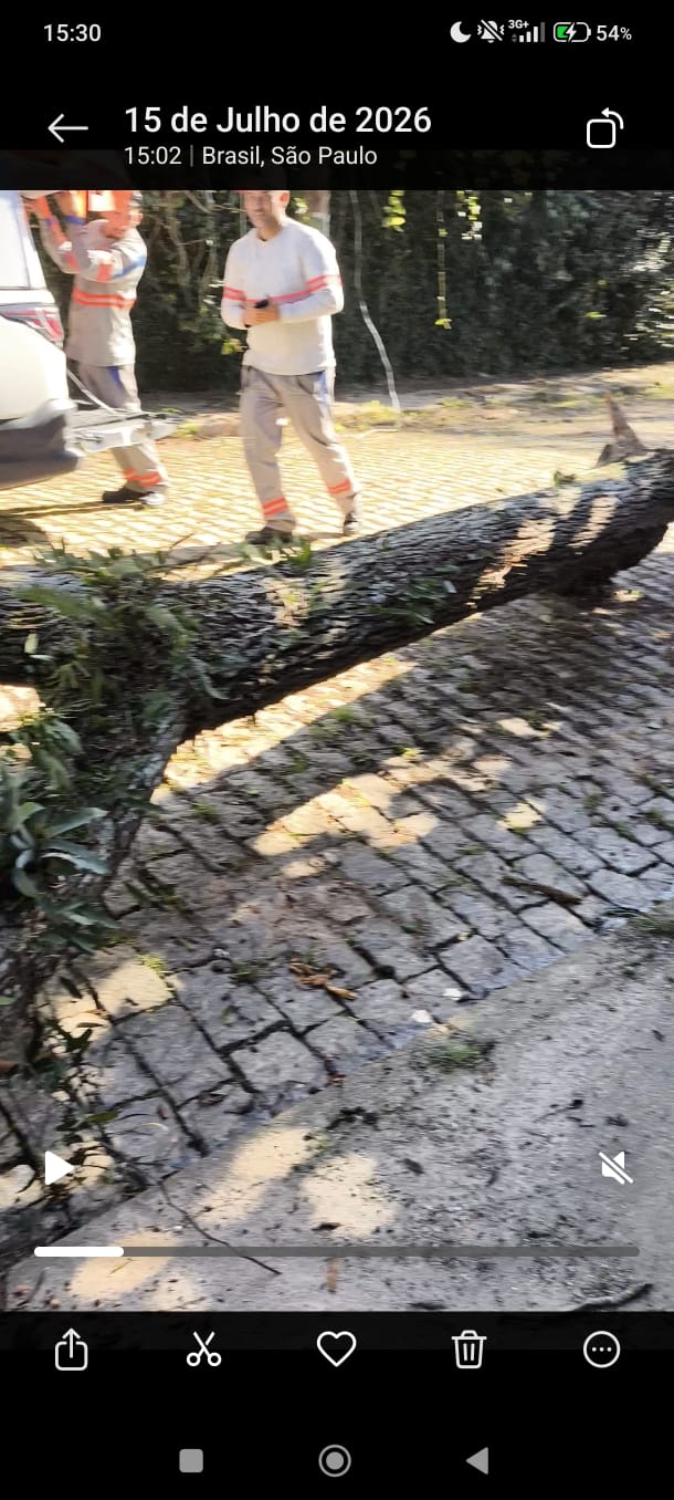 Imagem da publicação