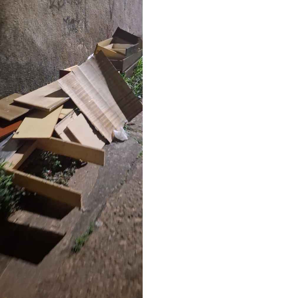 Imagem da publicação