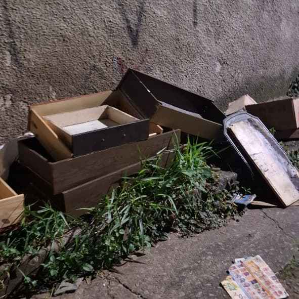 Imagem da publicação