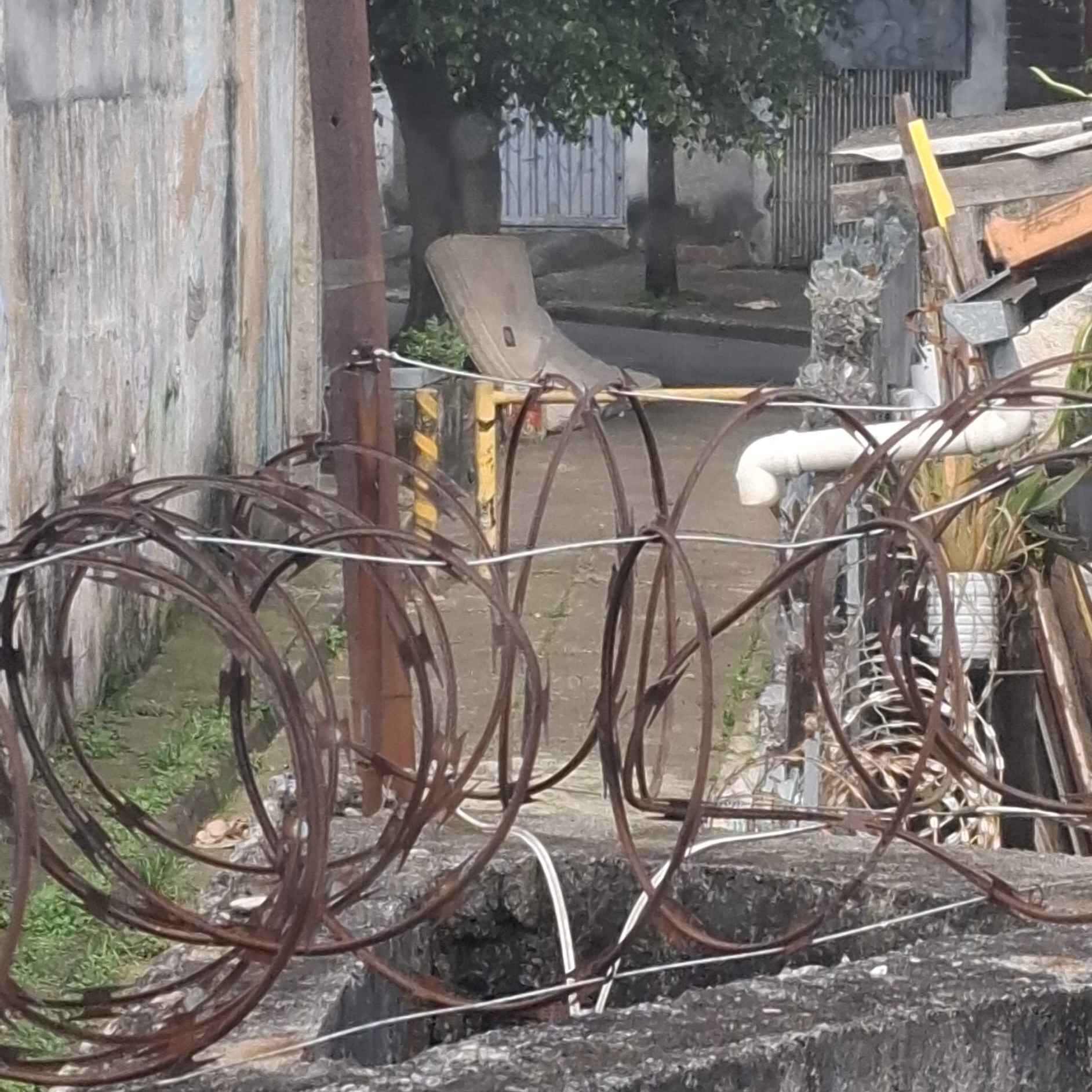 Imagem da publicação