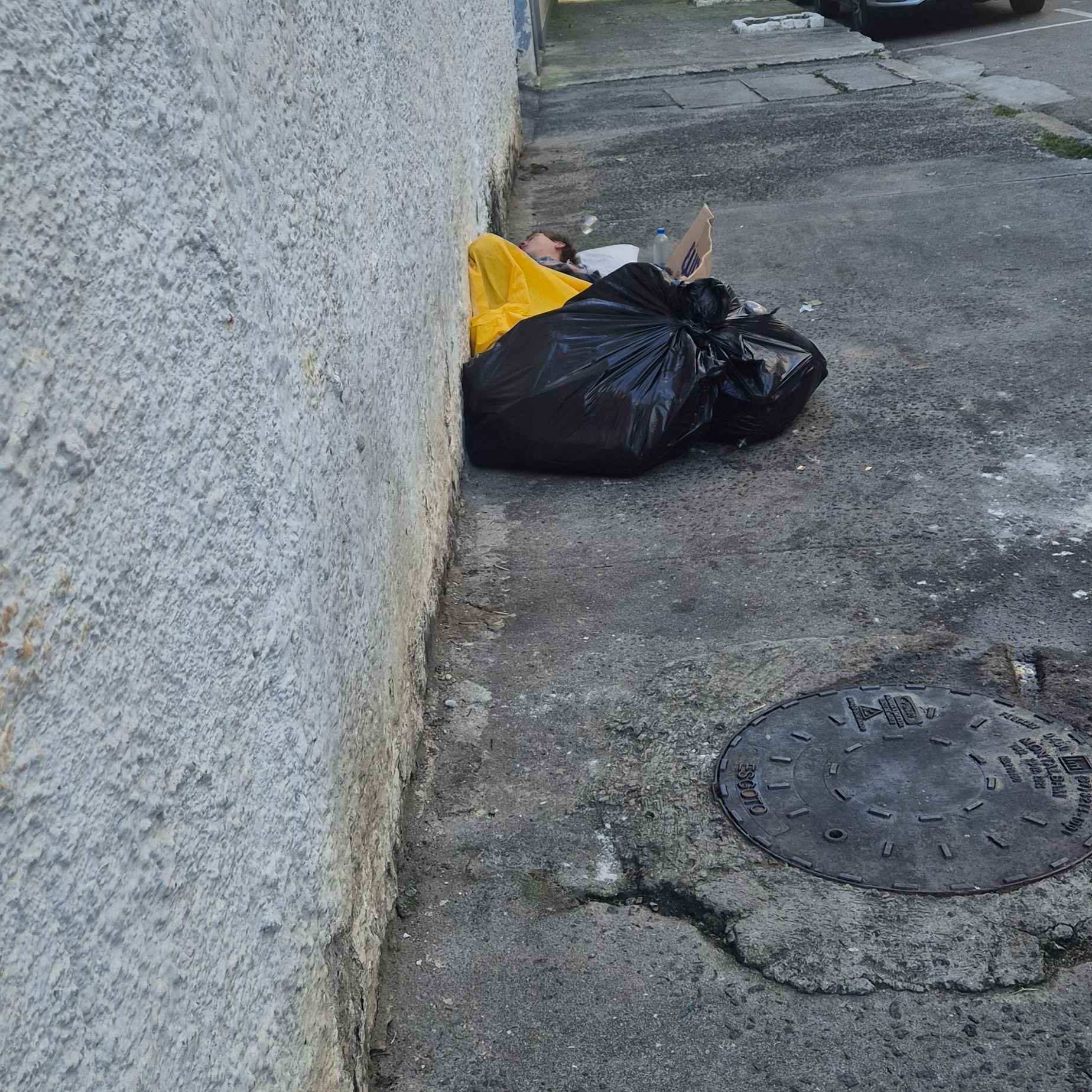 Imagem da publicação