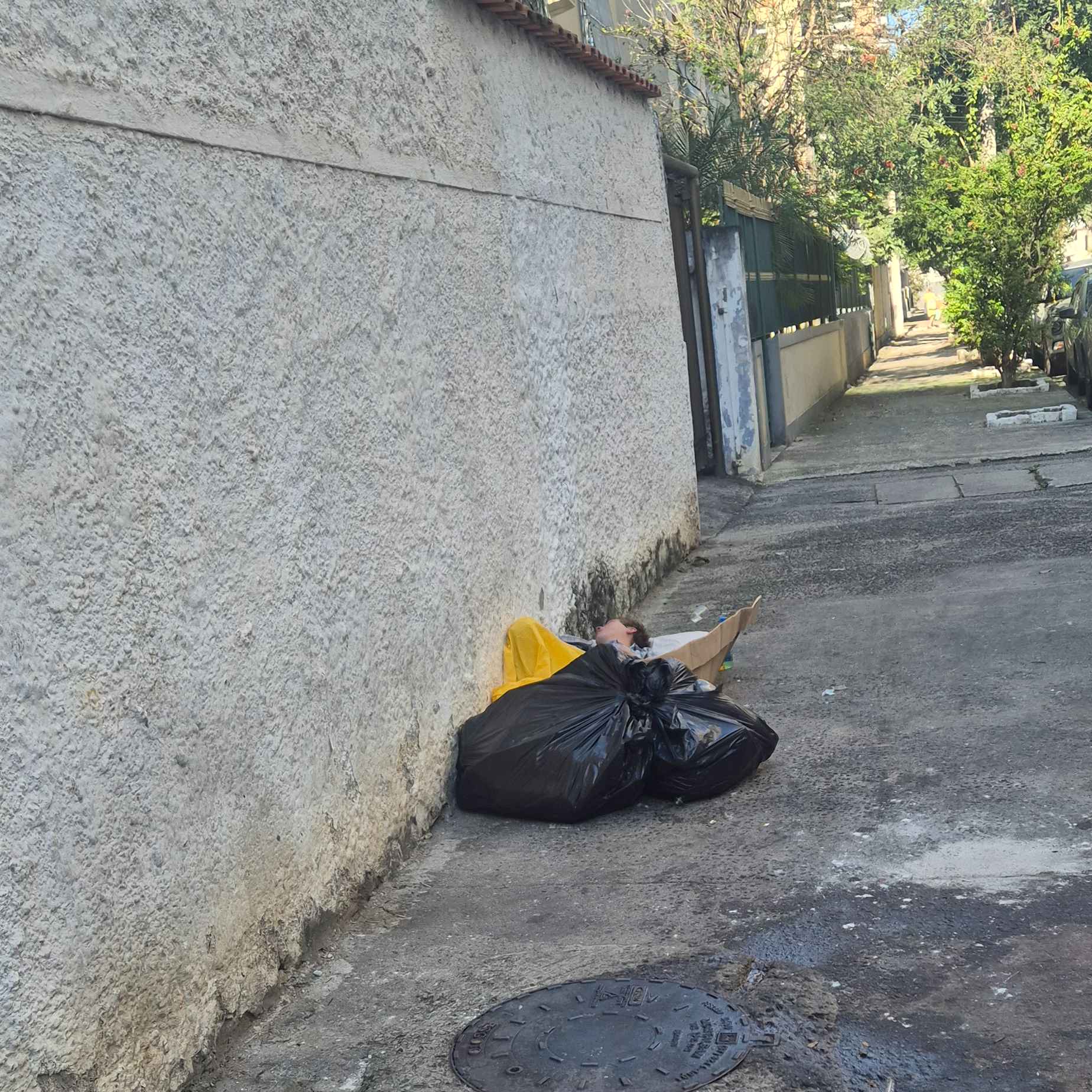 Imagem da publicação