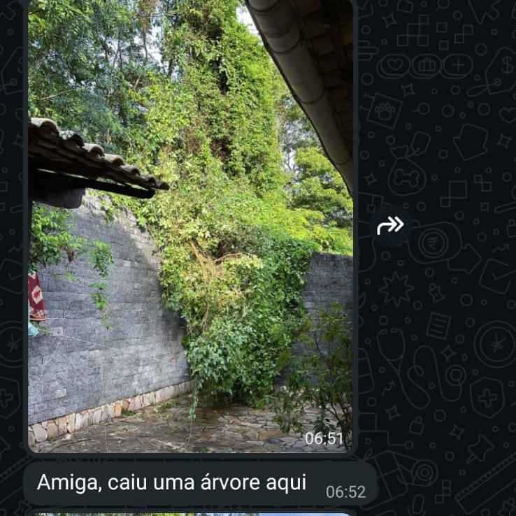Imagem da publicação