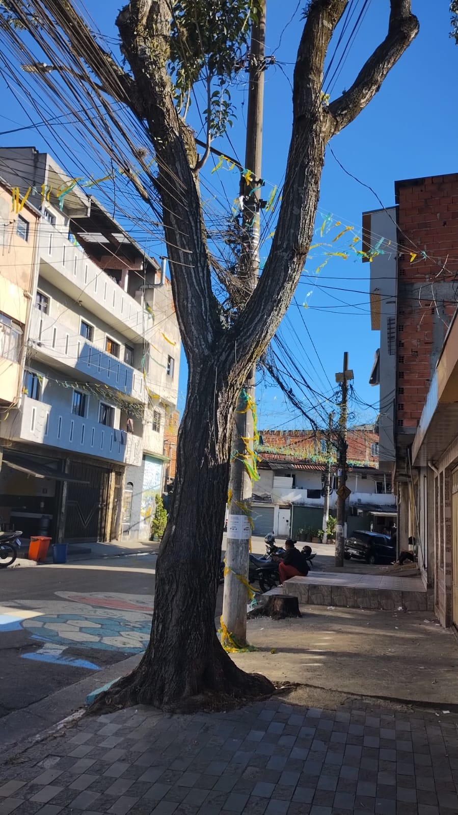 Imagem da publicação