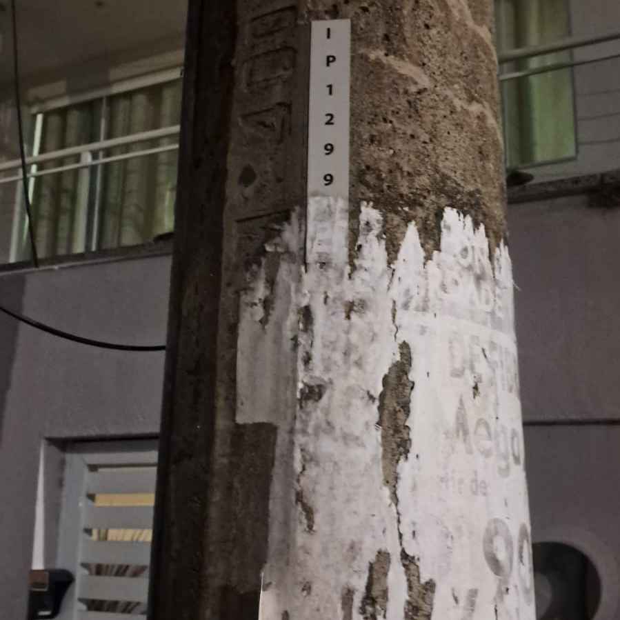 Imagem da publicação