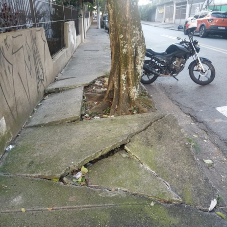 Imagem da publicação