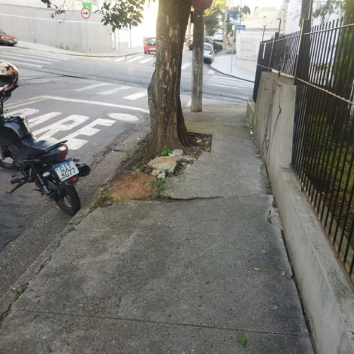 Imagem da publicação