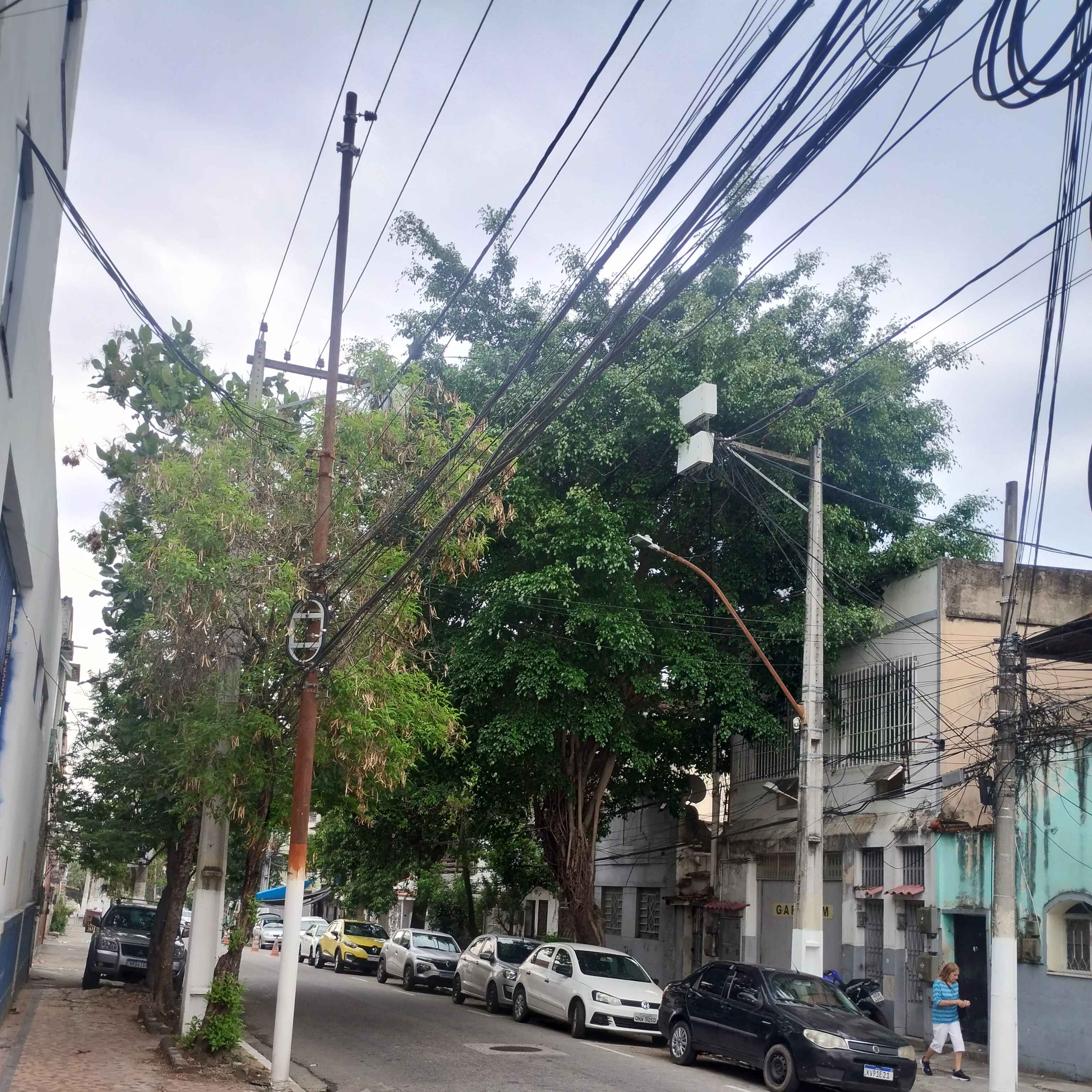 Imagem da publicação