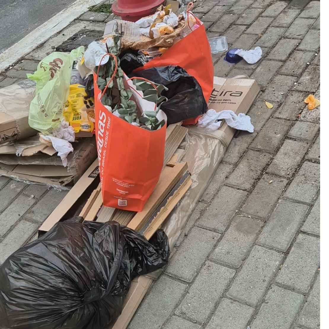 Imagem da publicação