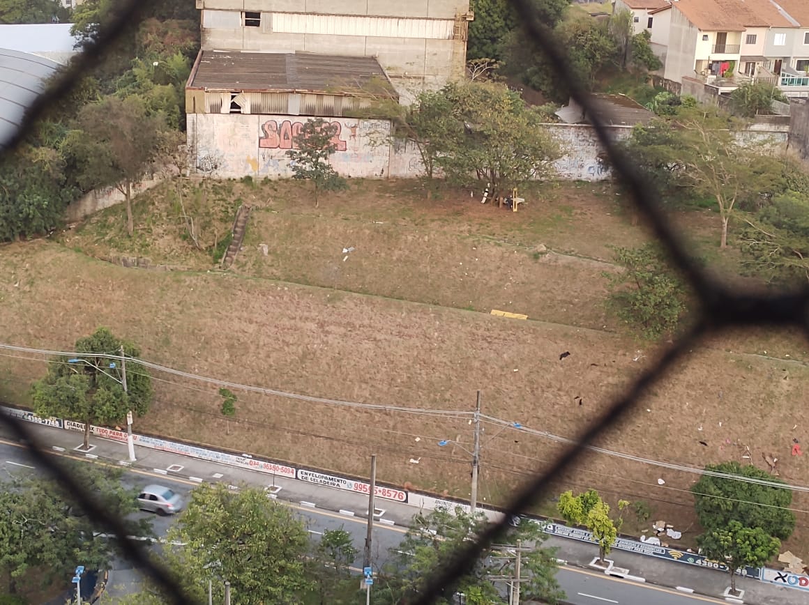 Imagem da publicação