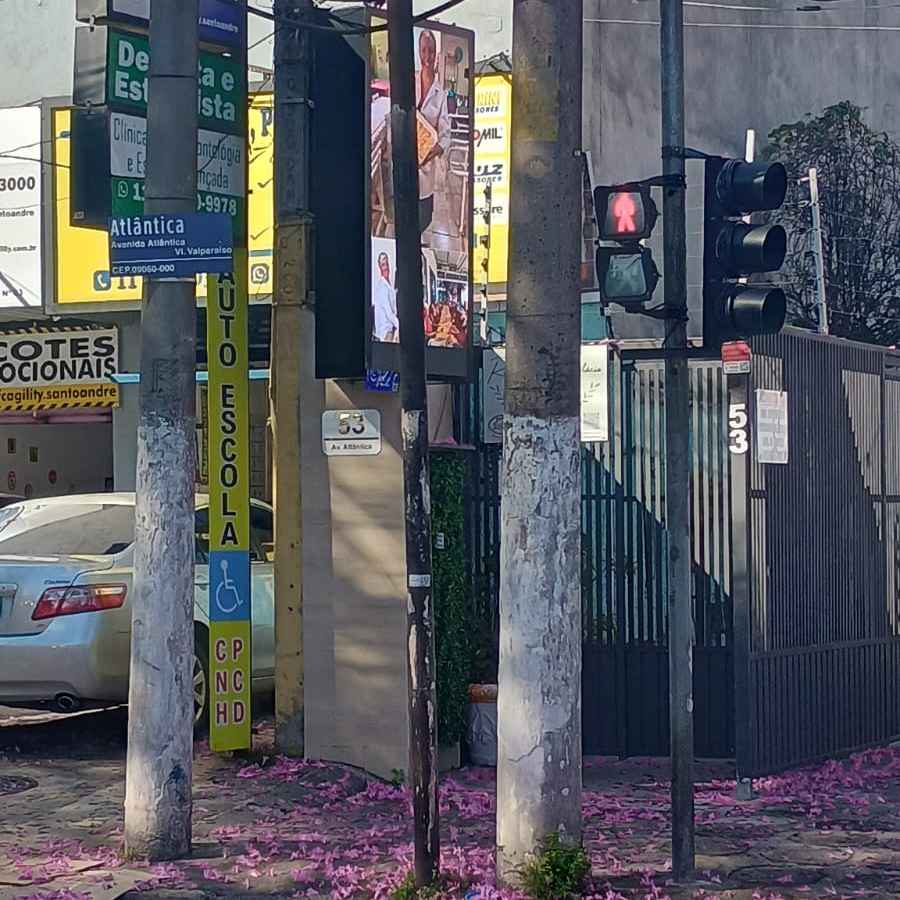 Imagem da publicação