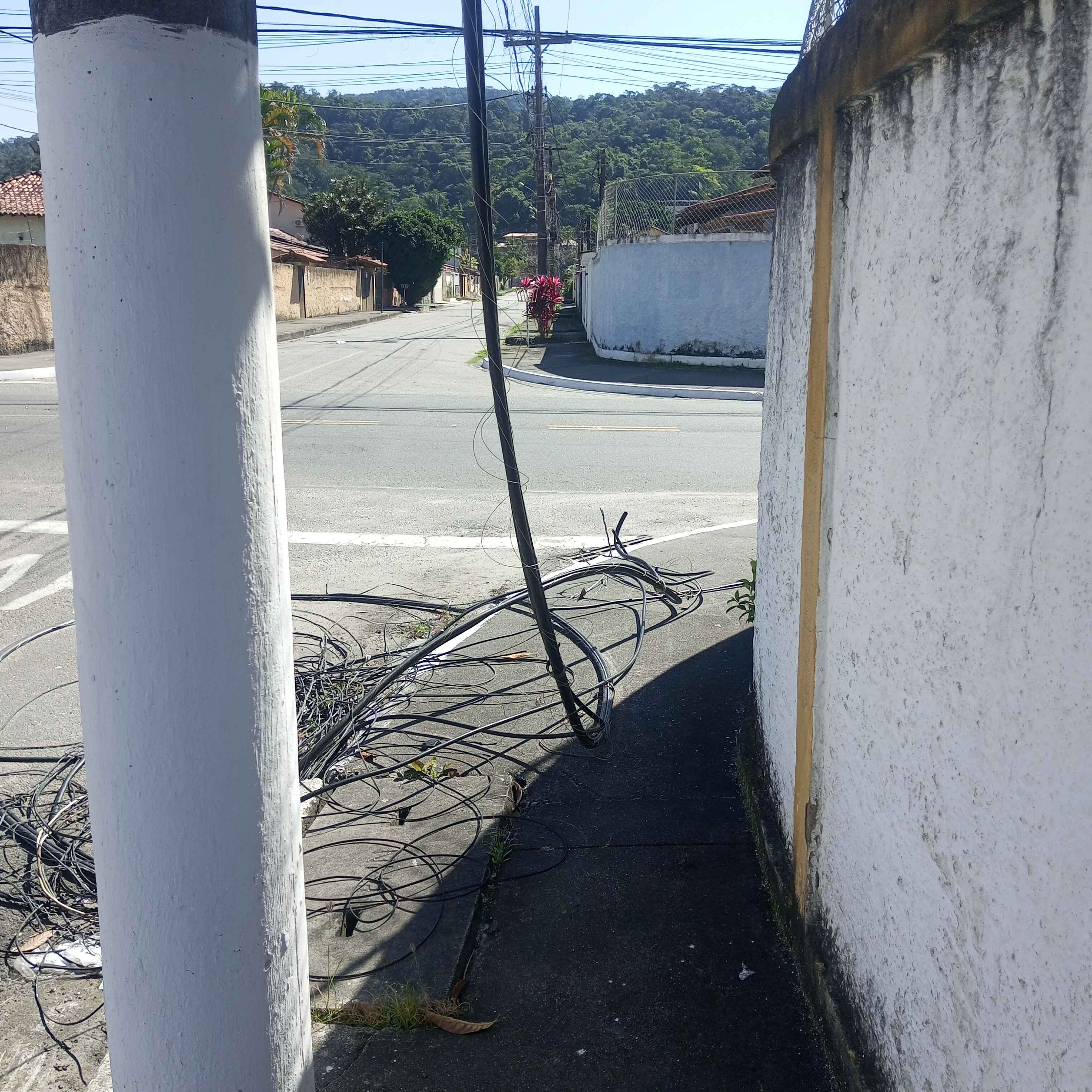 Imagem da publicação