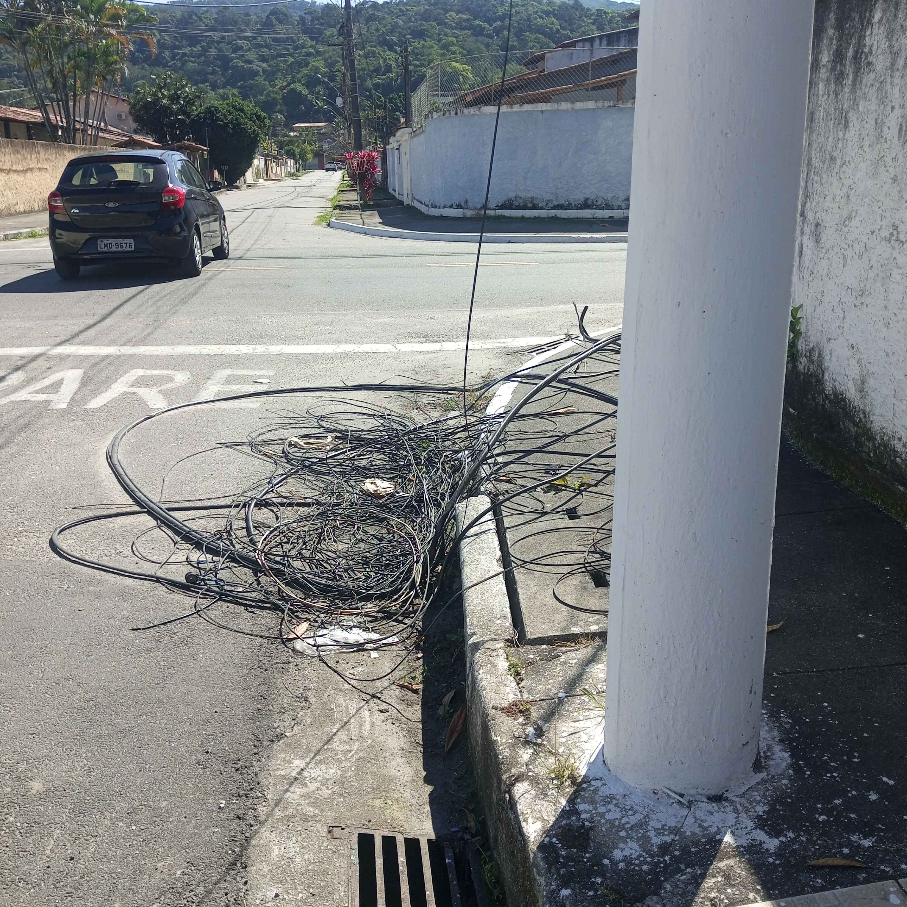 Imagem da publicação