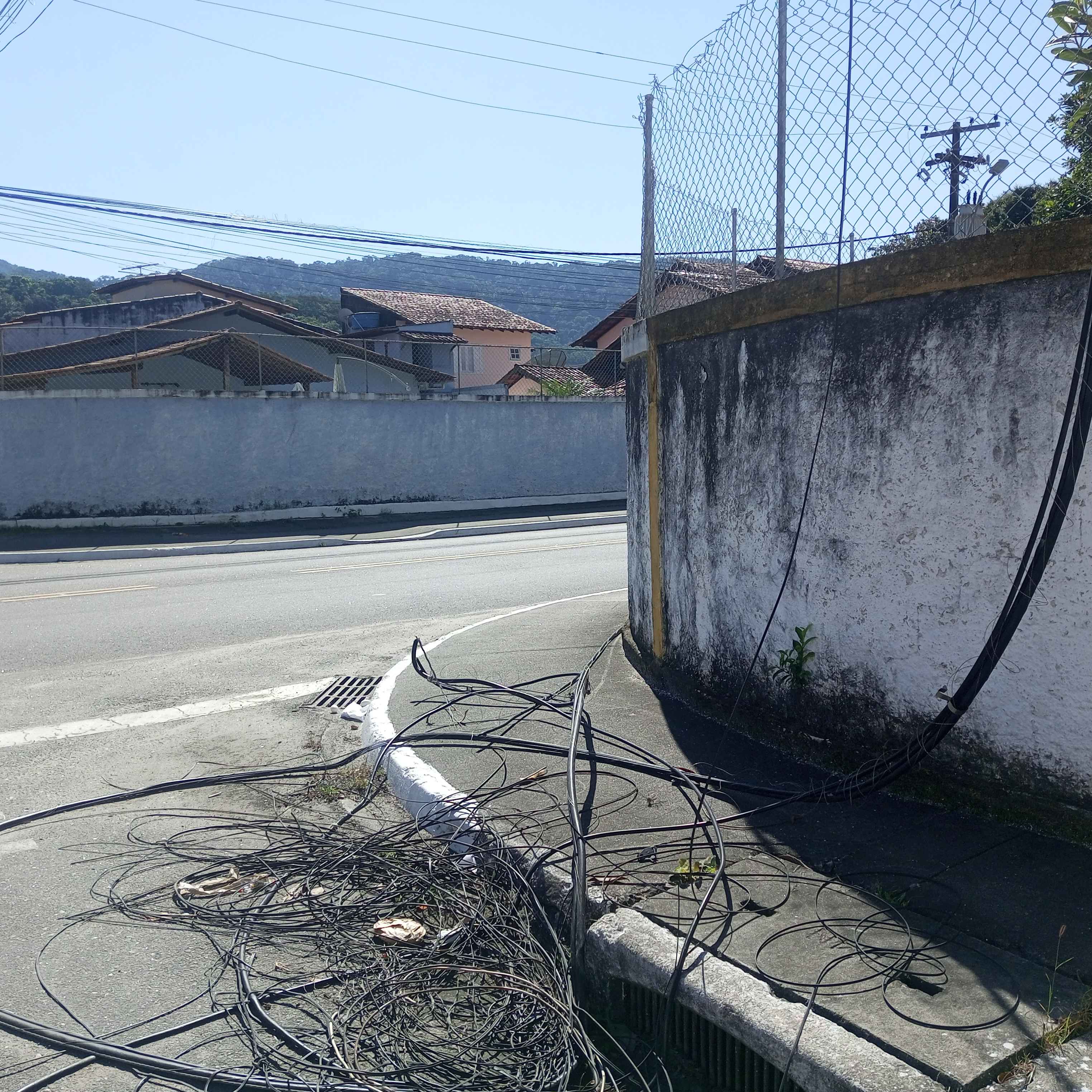 Imagem da publicação