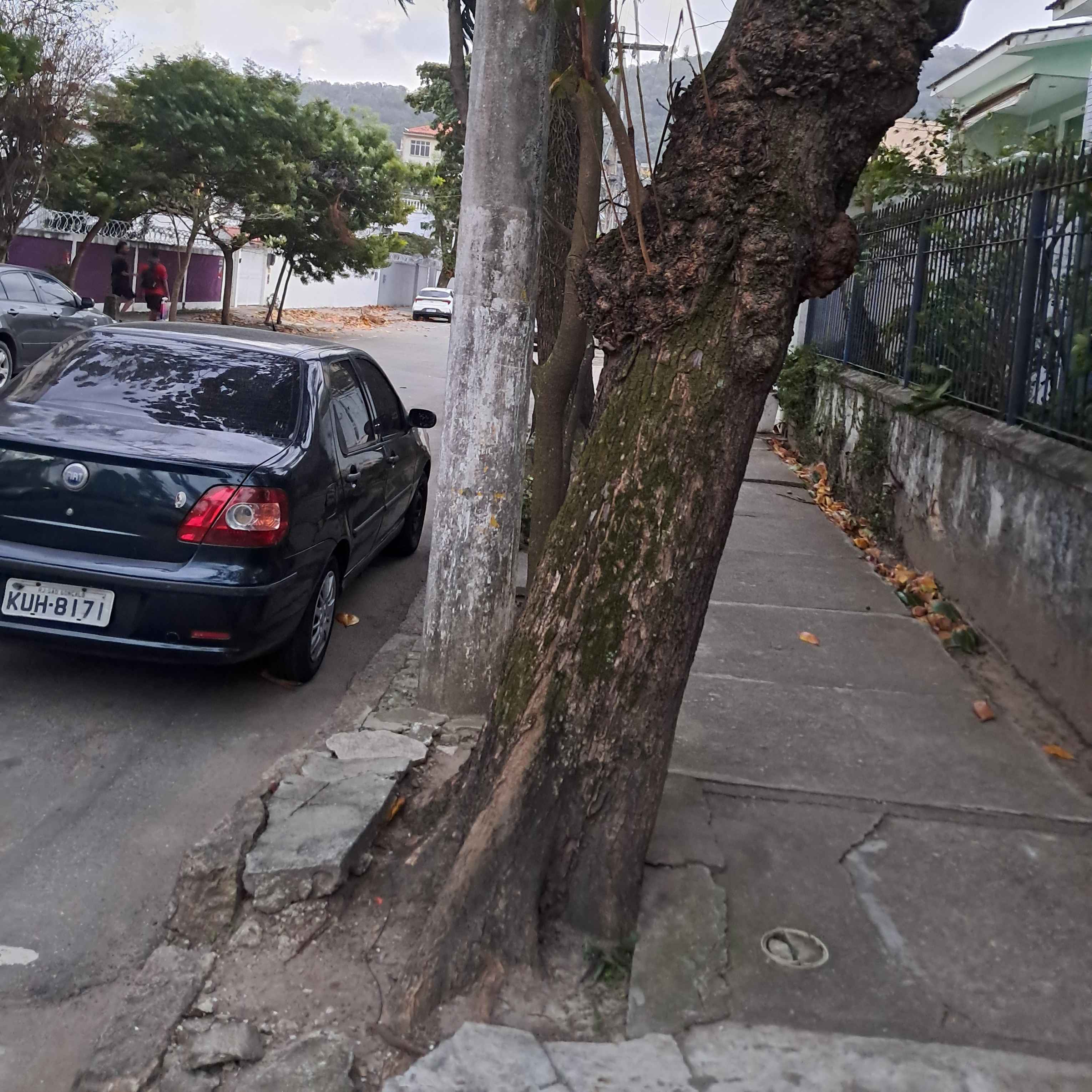 Imagem da publicação