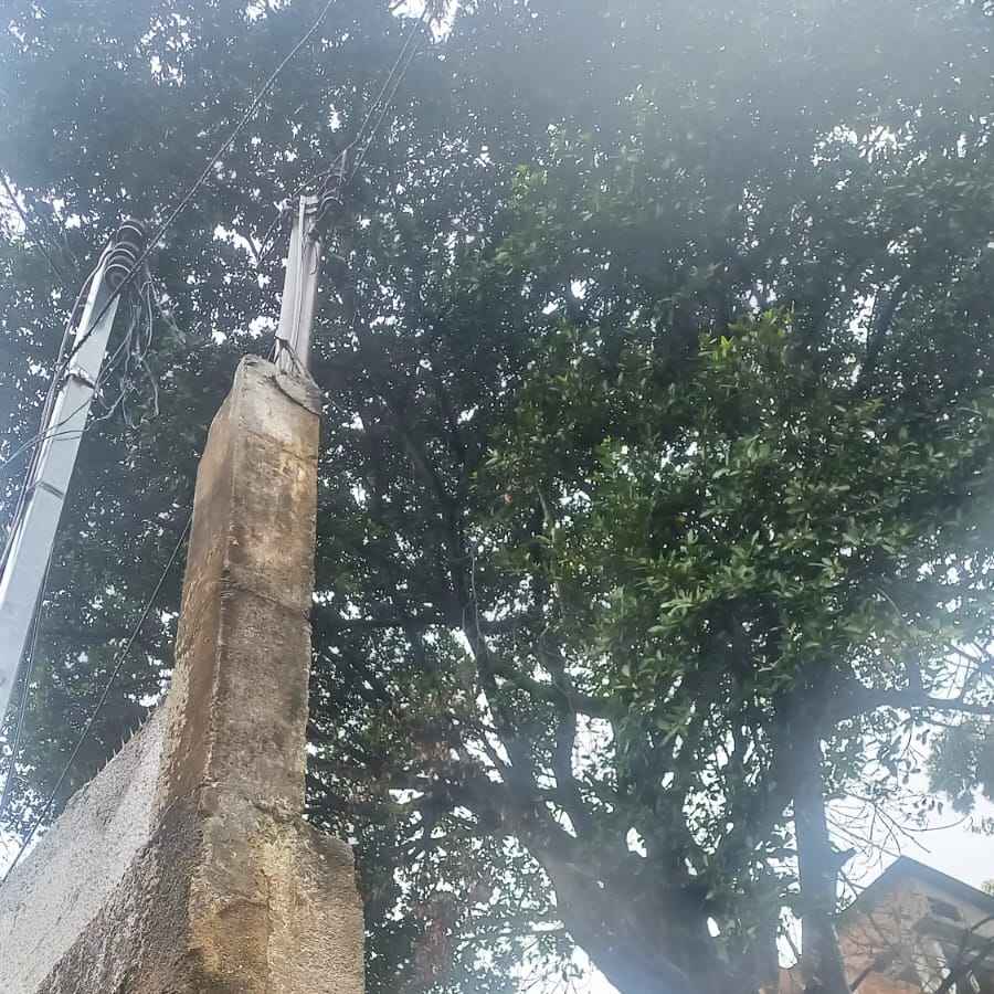 Imagem da publicação