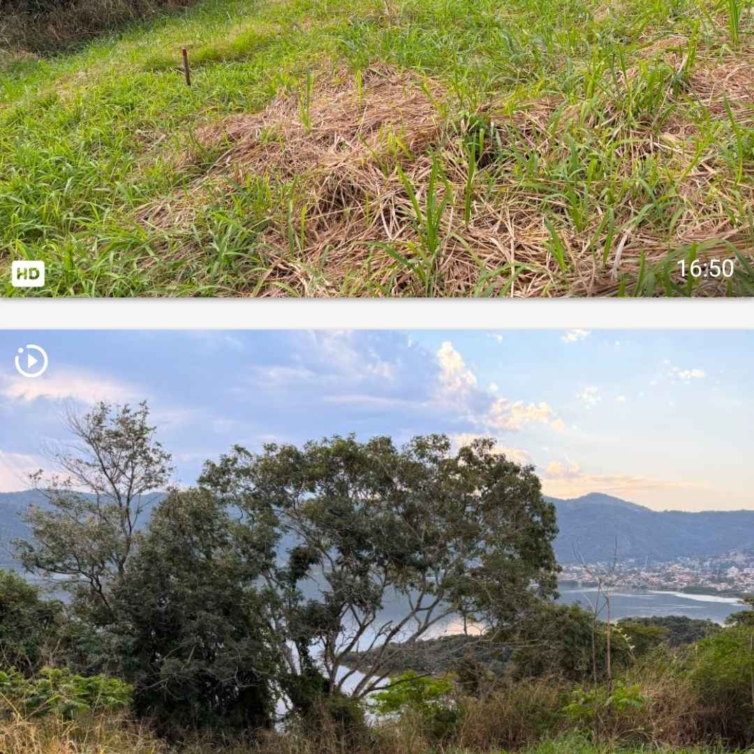 Imagem da publicação