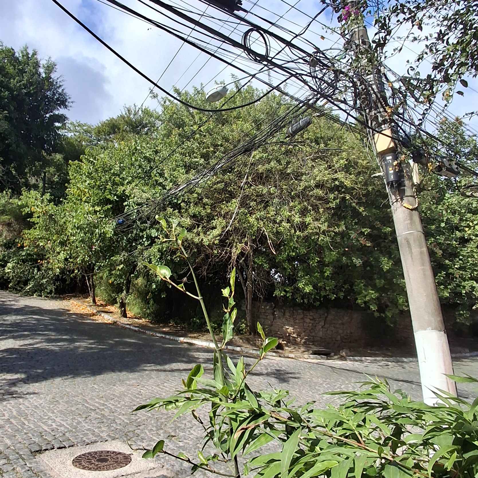 Imagem da publicação