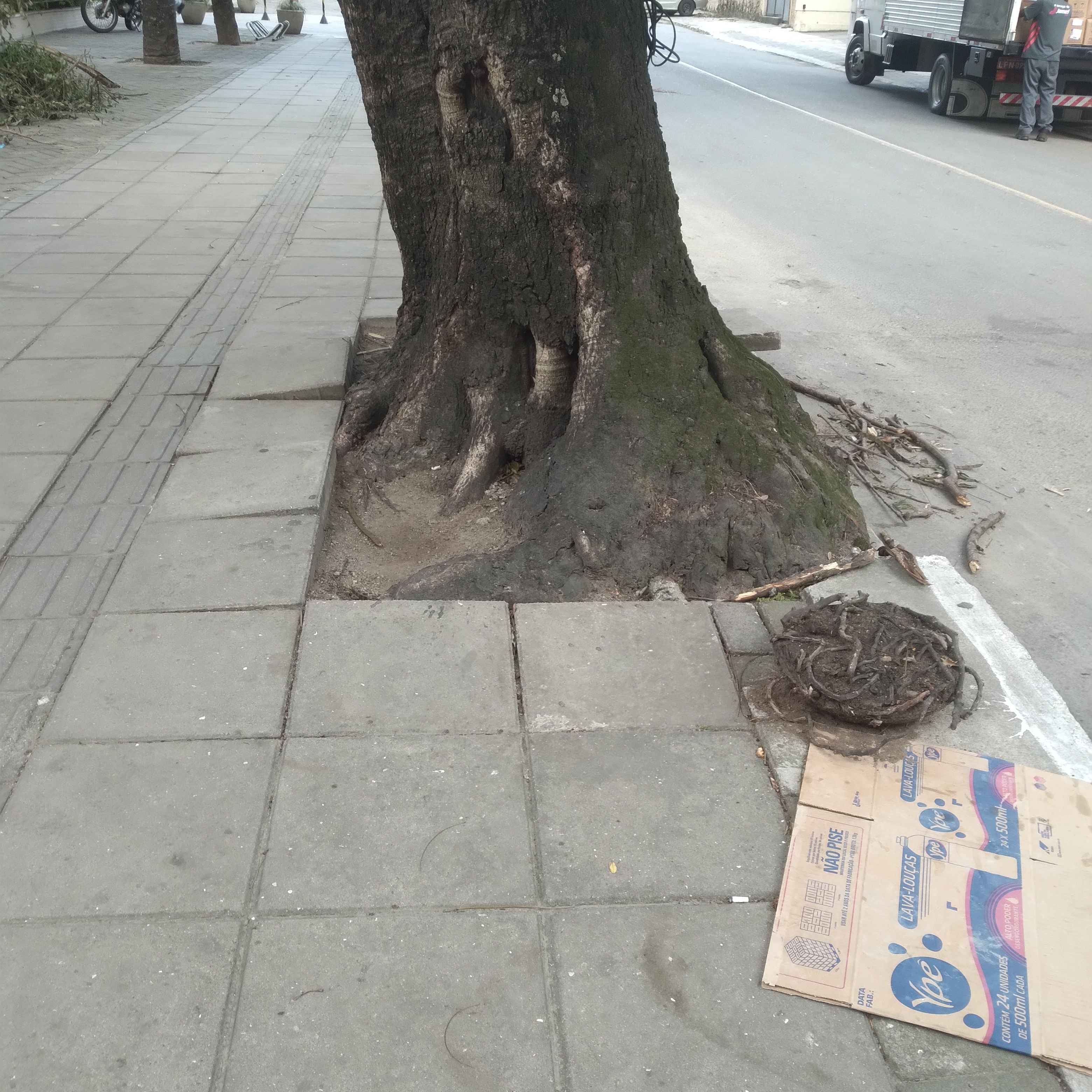 Imagem da publicação