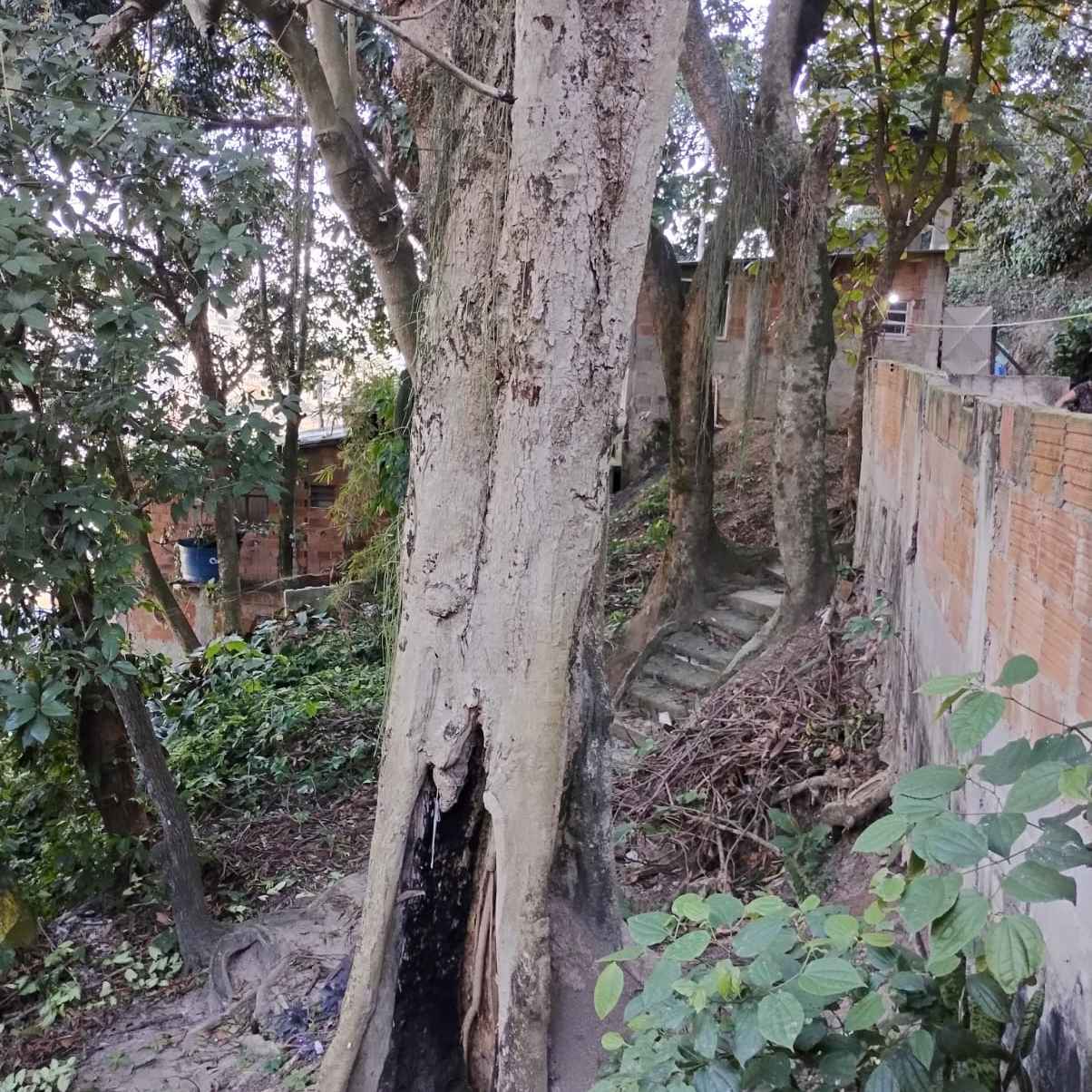 Imagem da publicação
