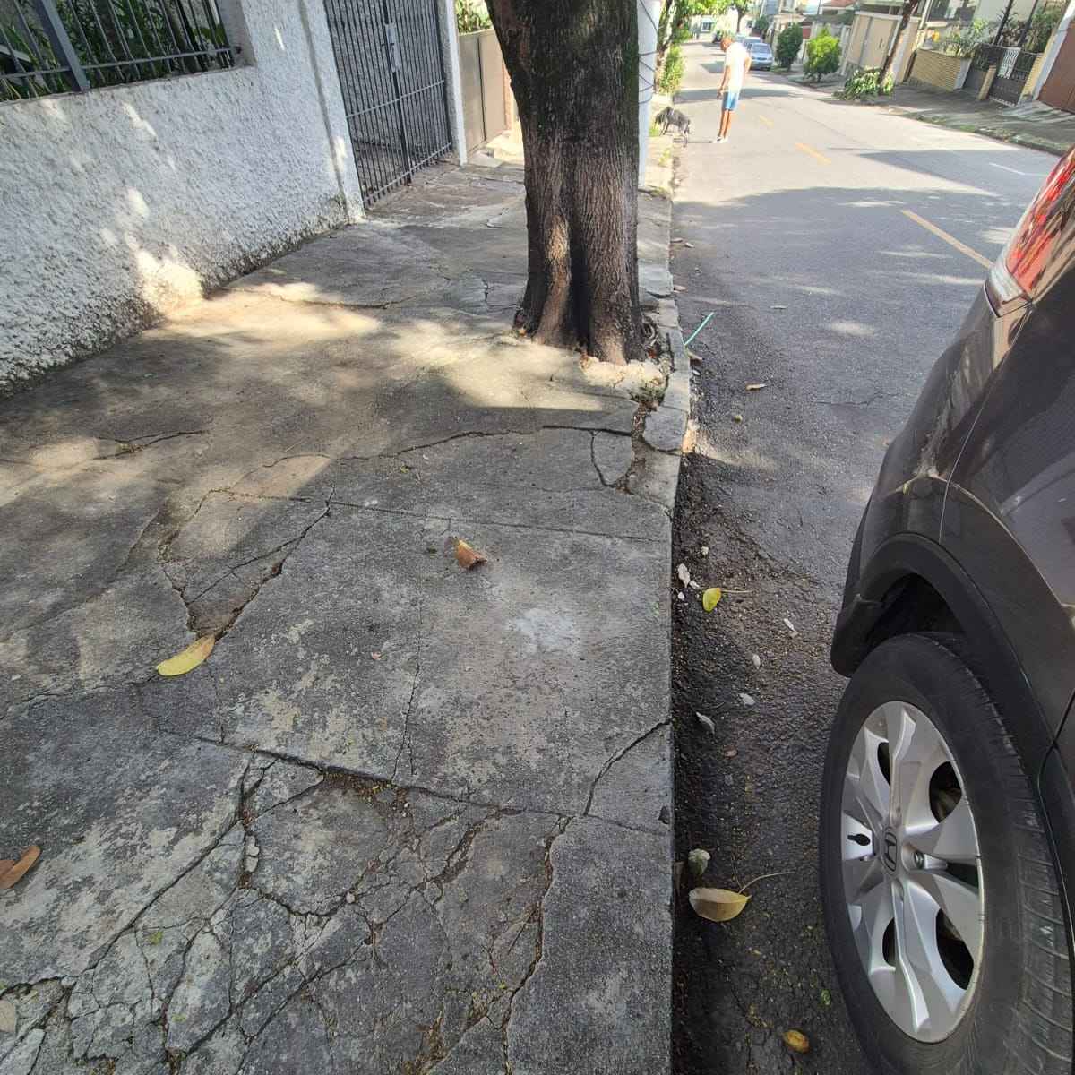 Imagem da publicação