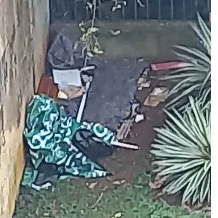 Imagem da publicação