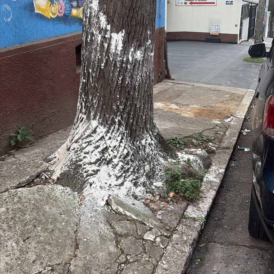 Imagem da publicação