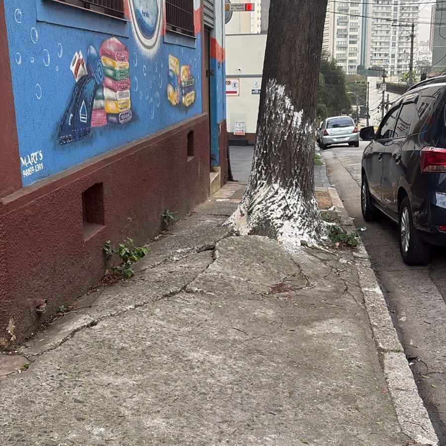 Imagem da publicação