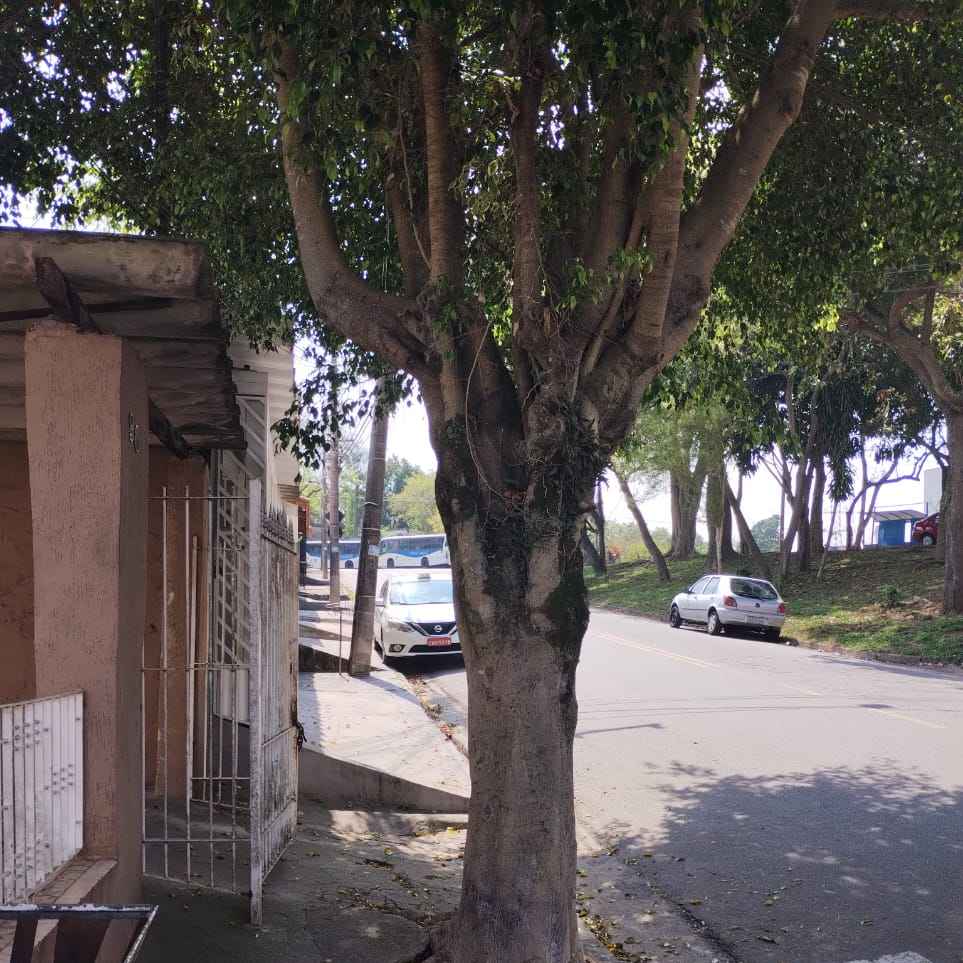 Imagem da publicação