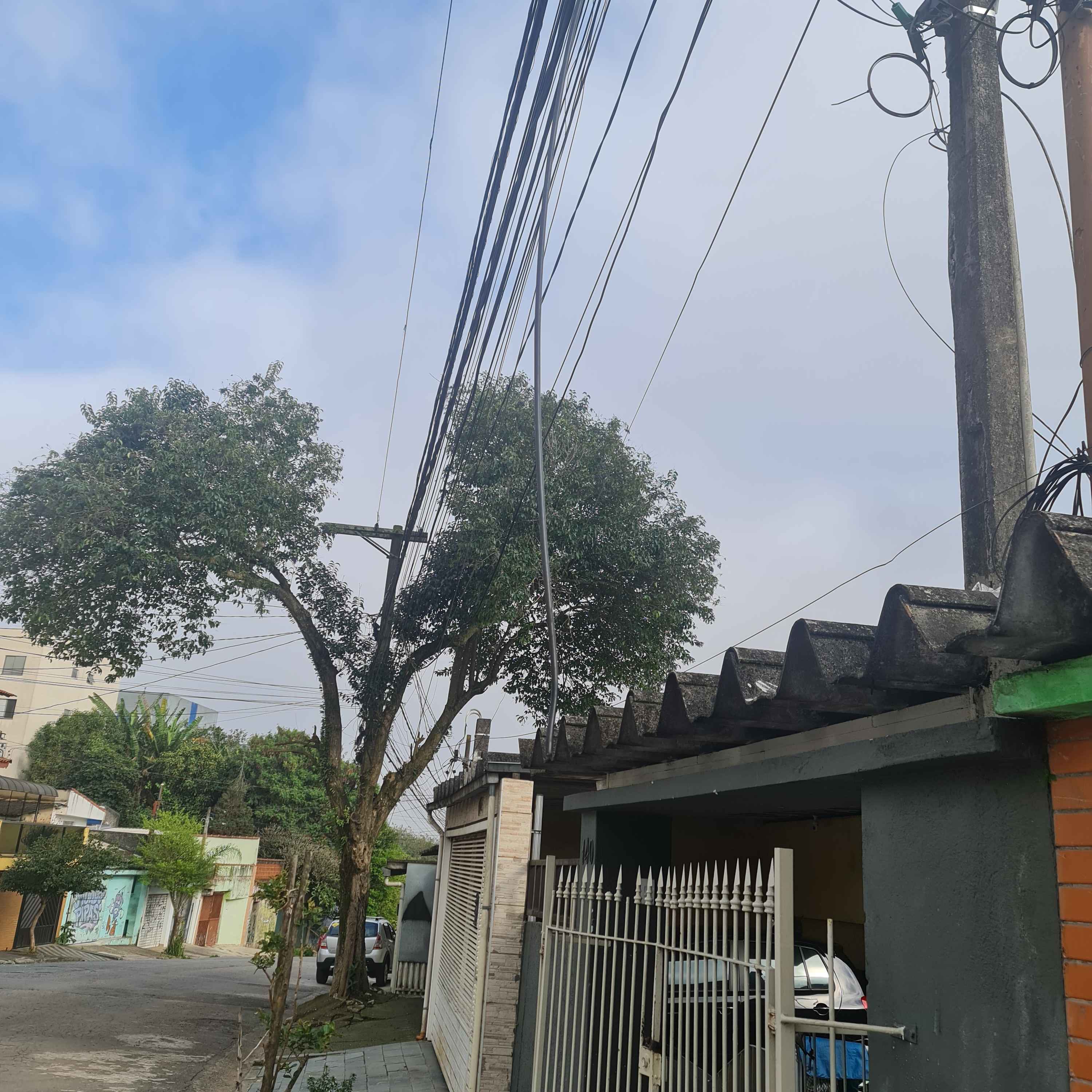 Imagem da publicação