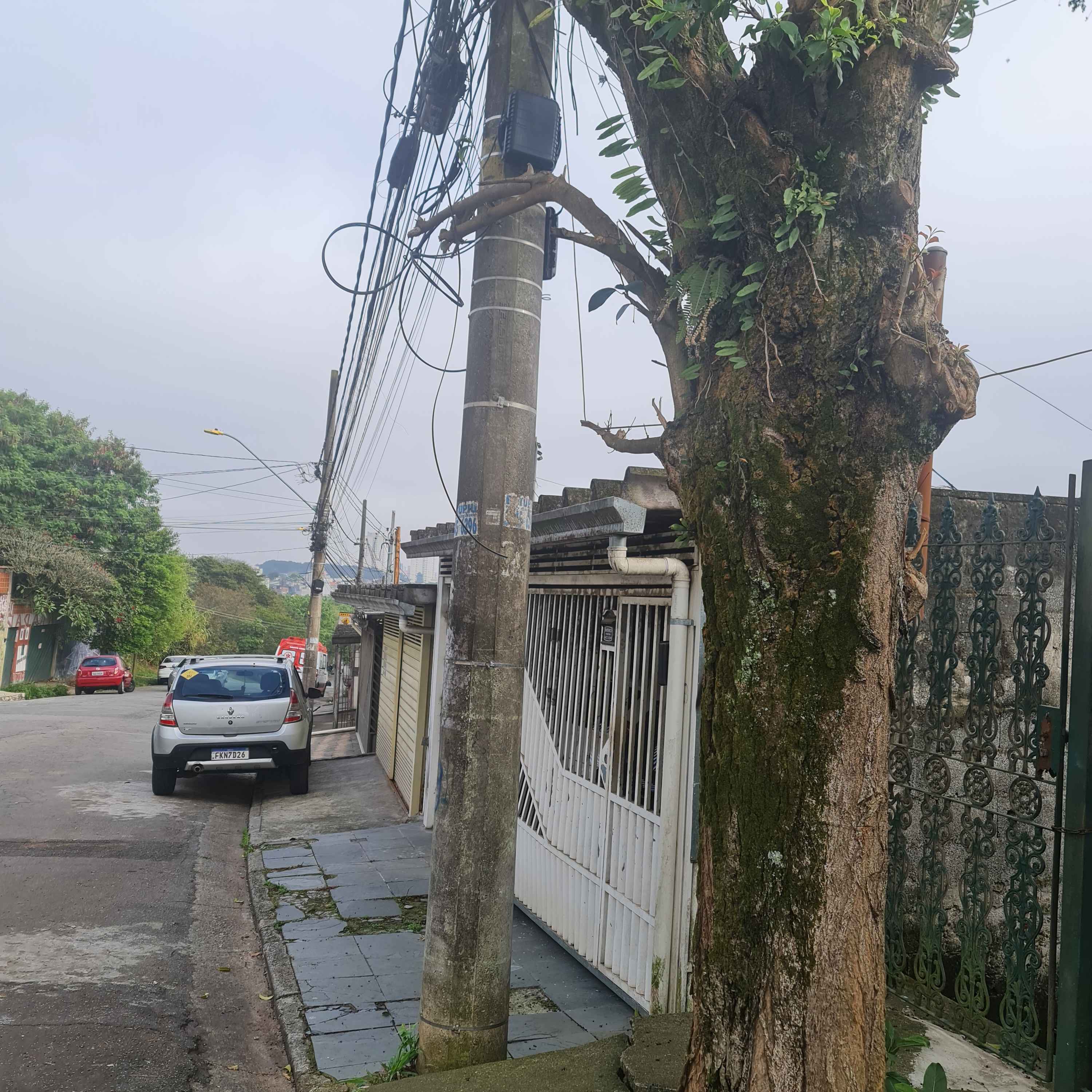 Imagem da publicação