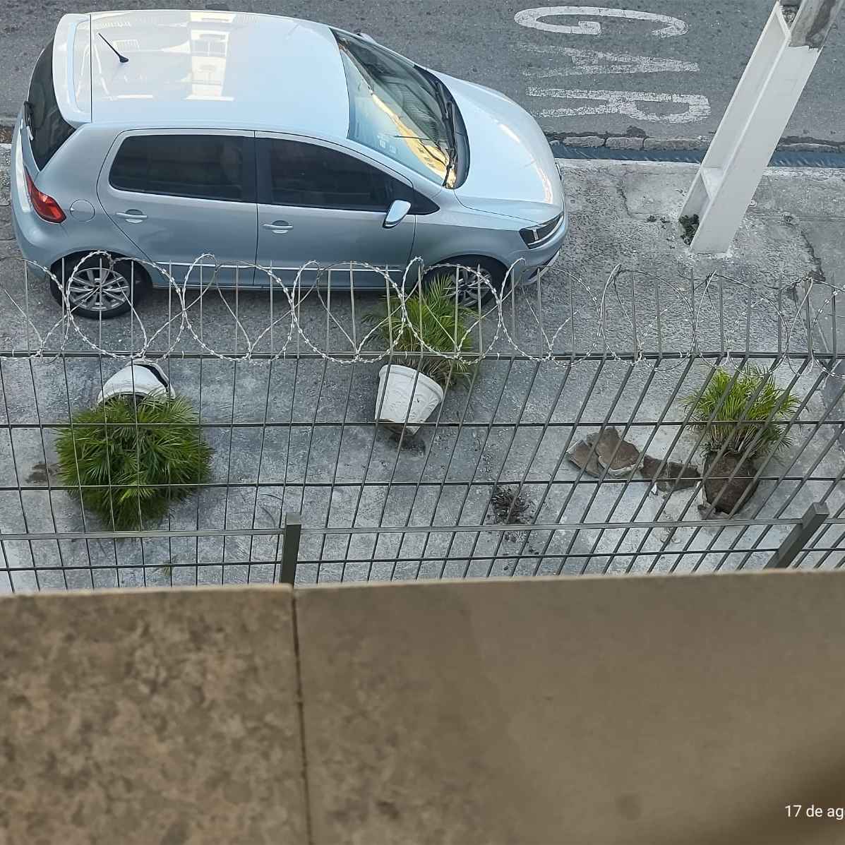 Imagem da publicação