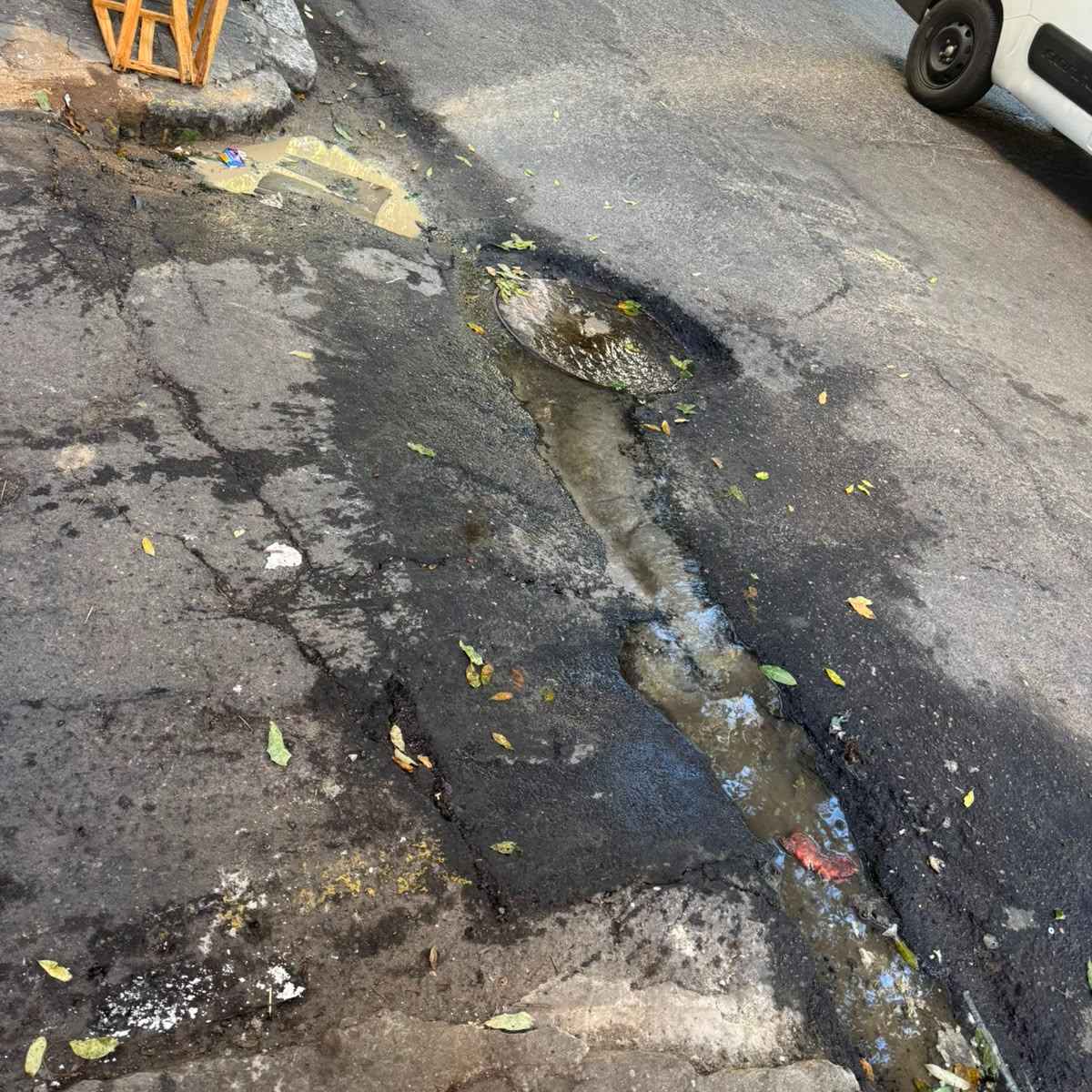 Imagem da publicação
