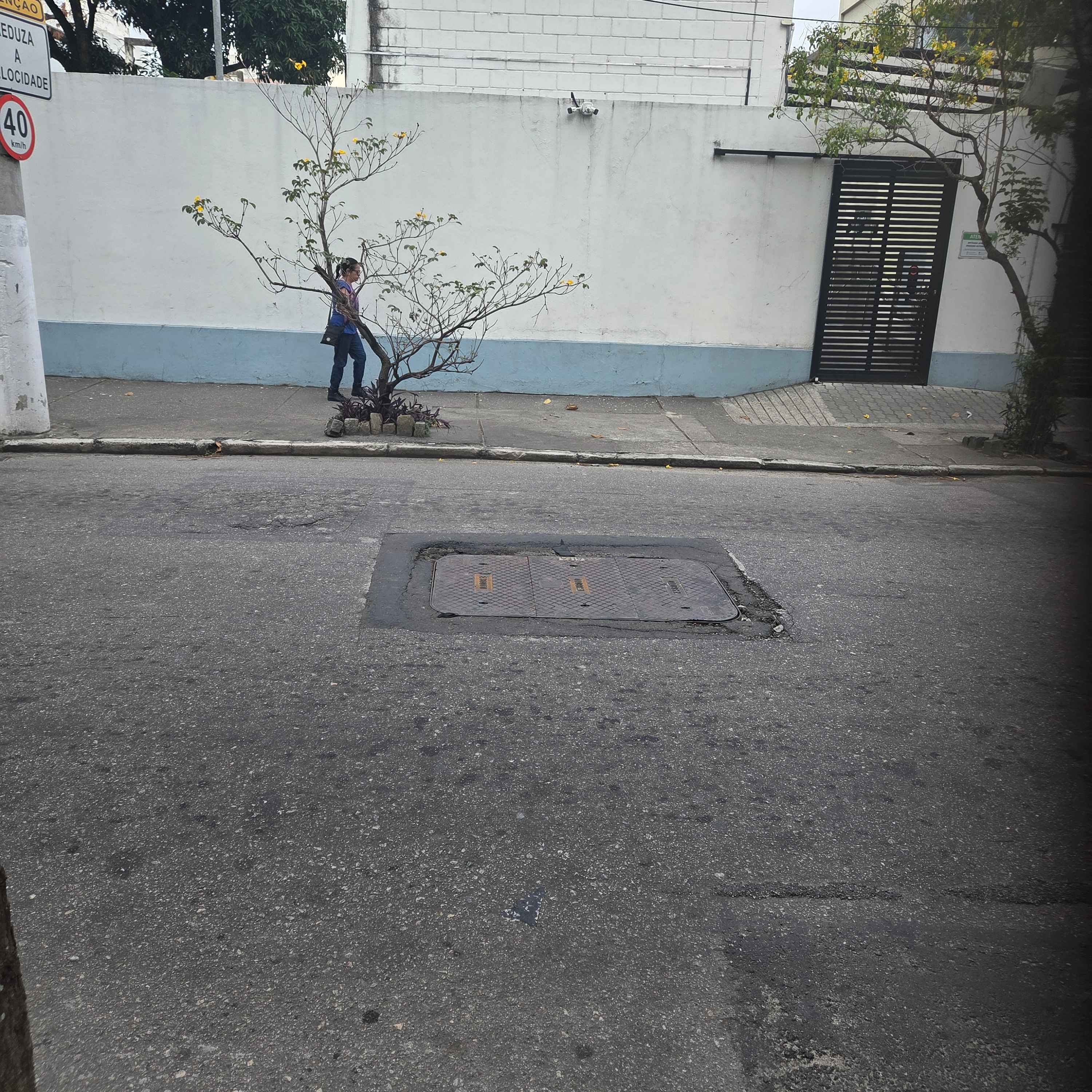 Imagem da publicação