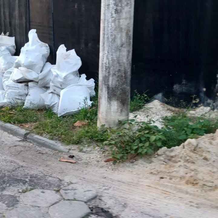 Imagem da publicação