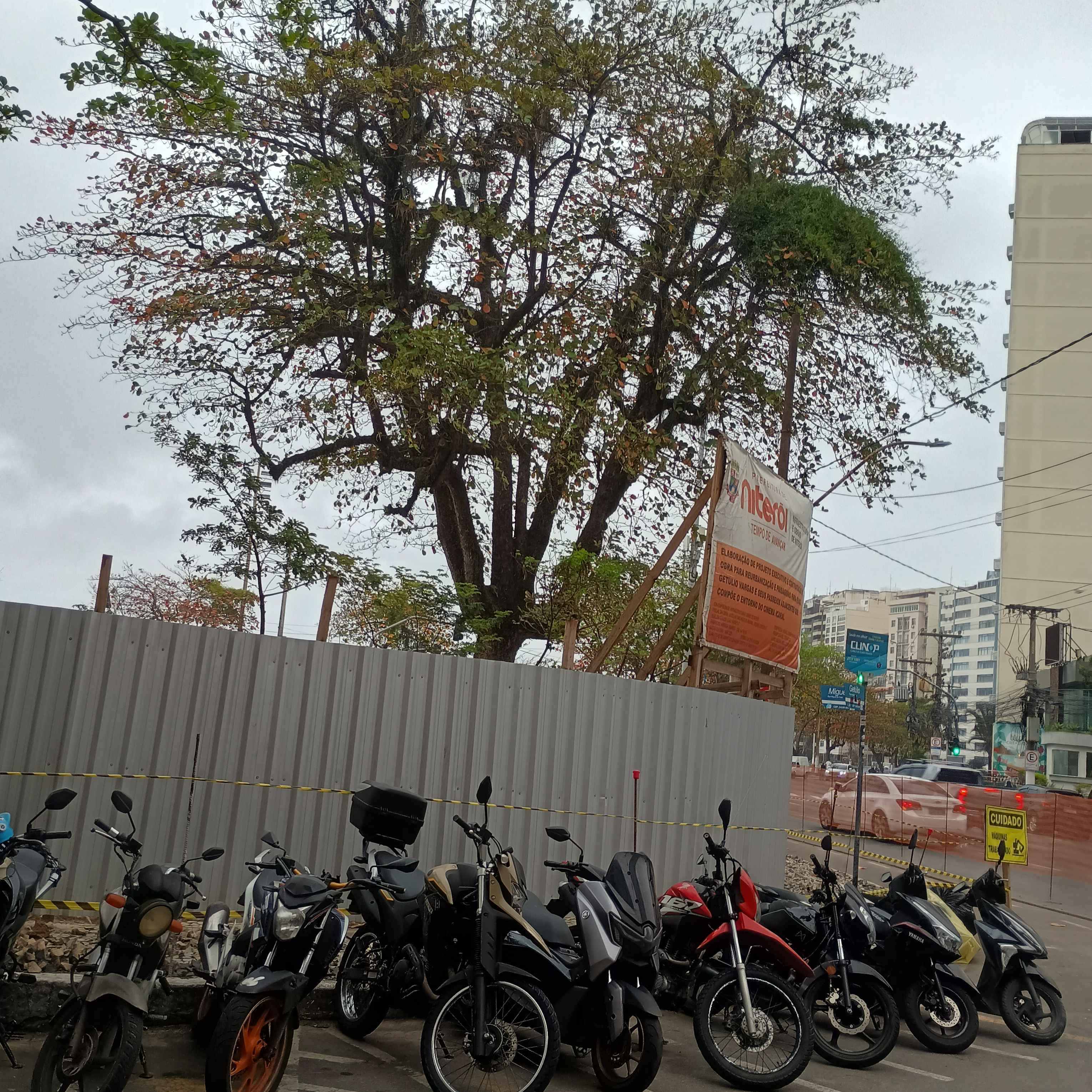 Imagem da publicação