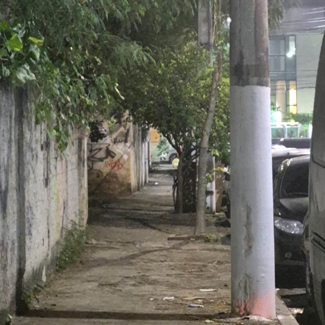 Imagem da publicação