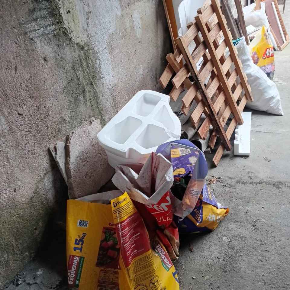 Imagem da publicação