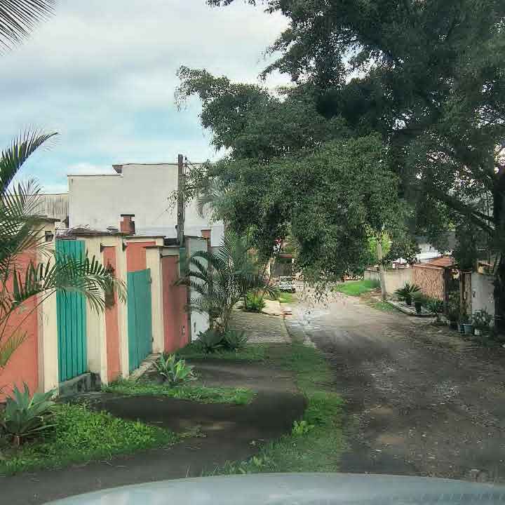 Imagem da publicação