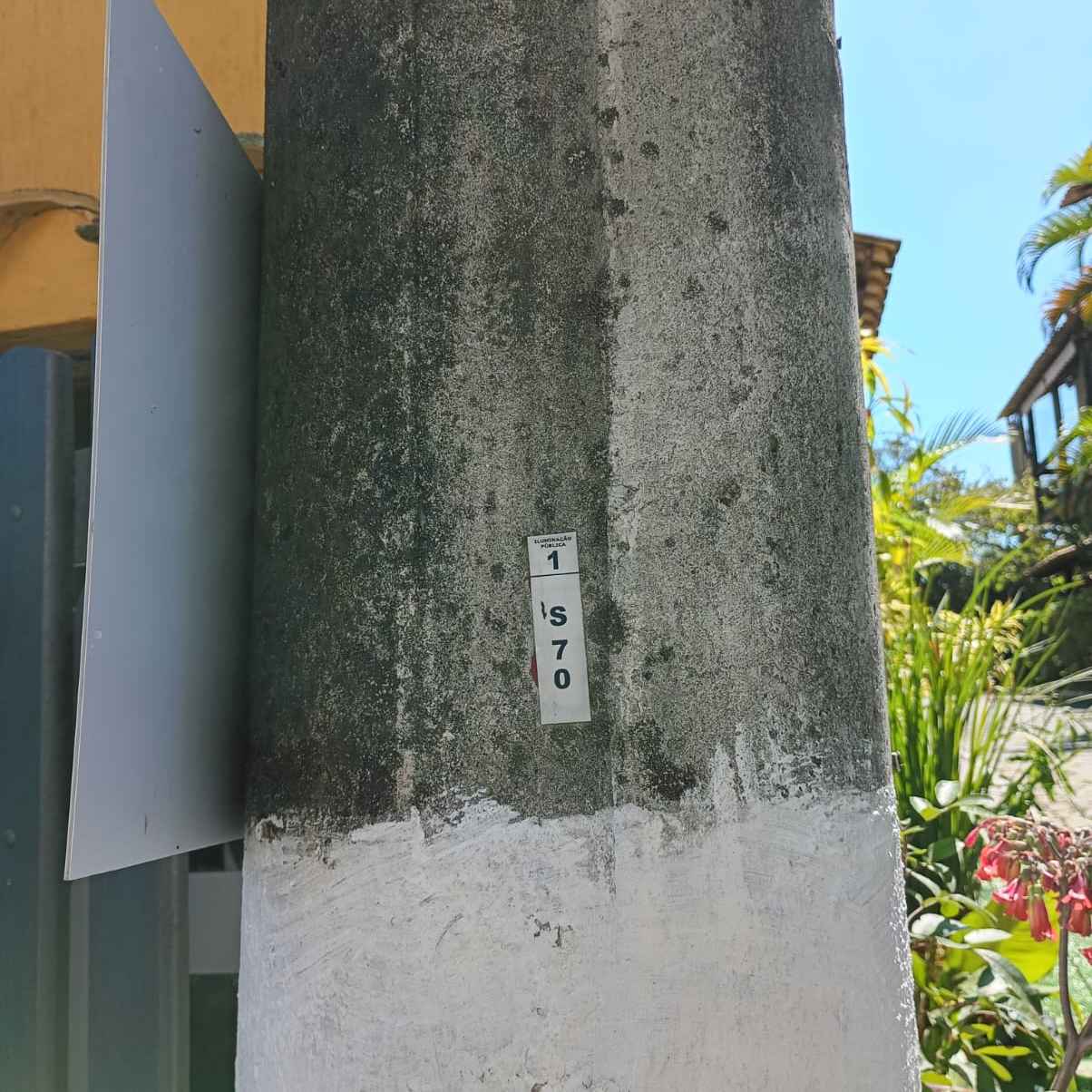 Imagem da publicação