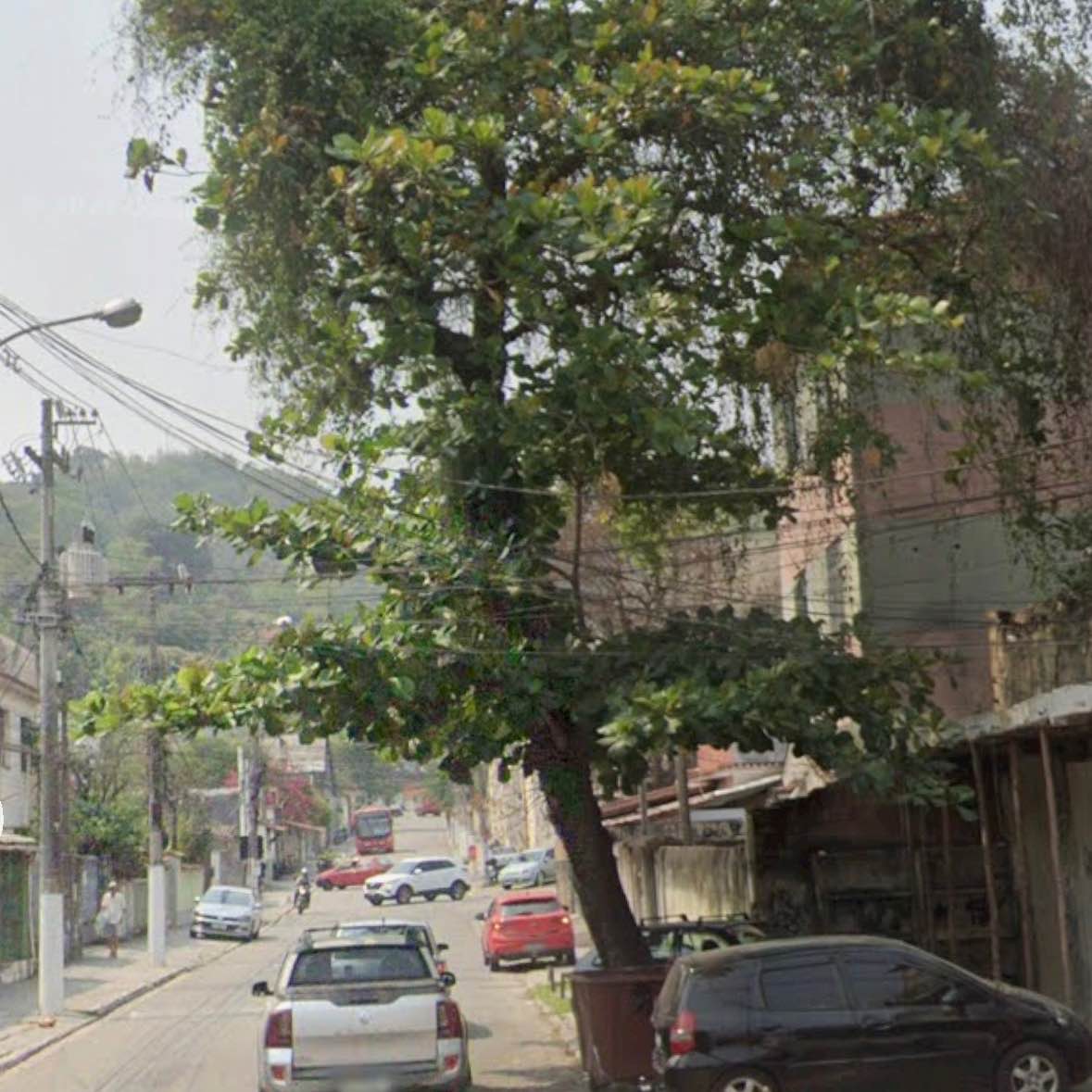 Imagem da publicação